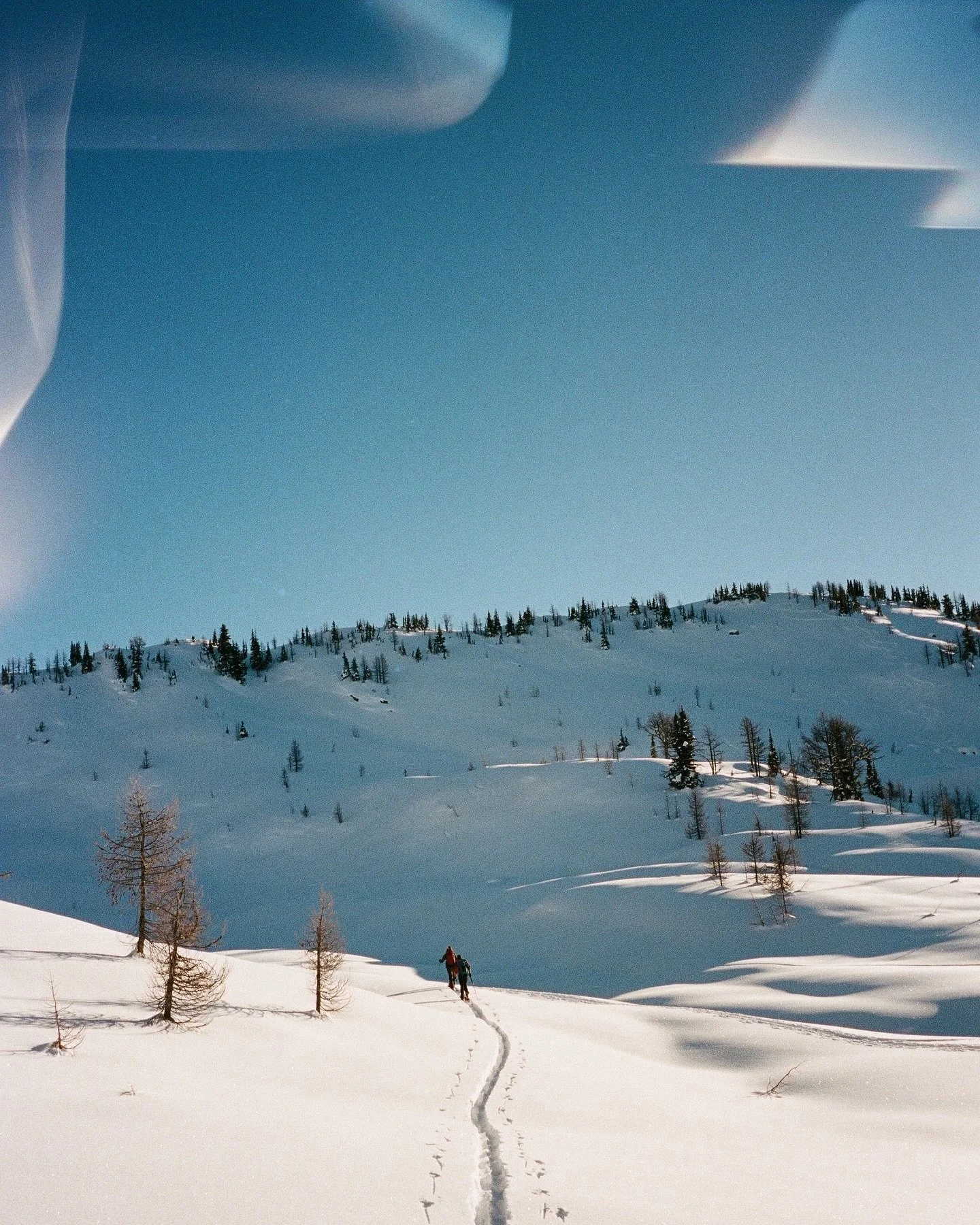 film dump from our ski trip 🎞️🥰⛷️❄️

📷: Olympus mju-ii

#film #skiing #backcountryskiing #skitouring #beautifulbritishcolumbia #hellobc #optoutside