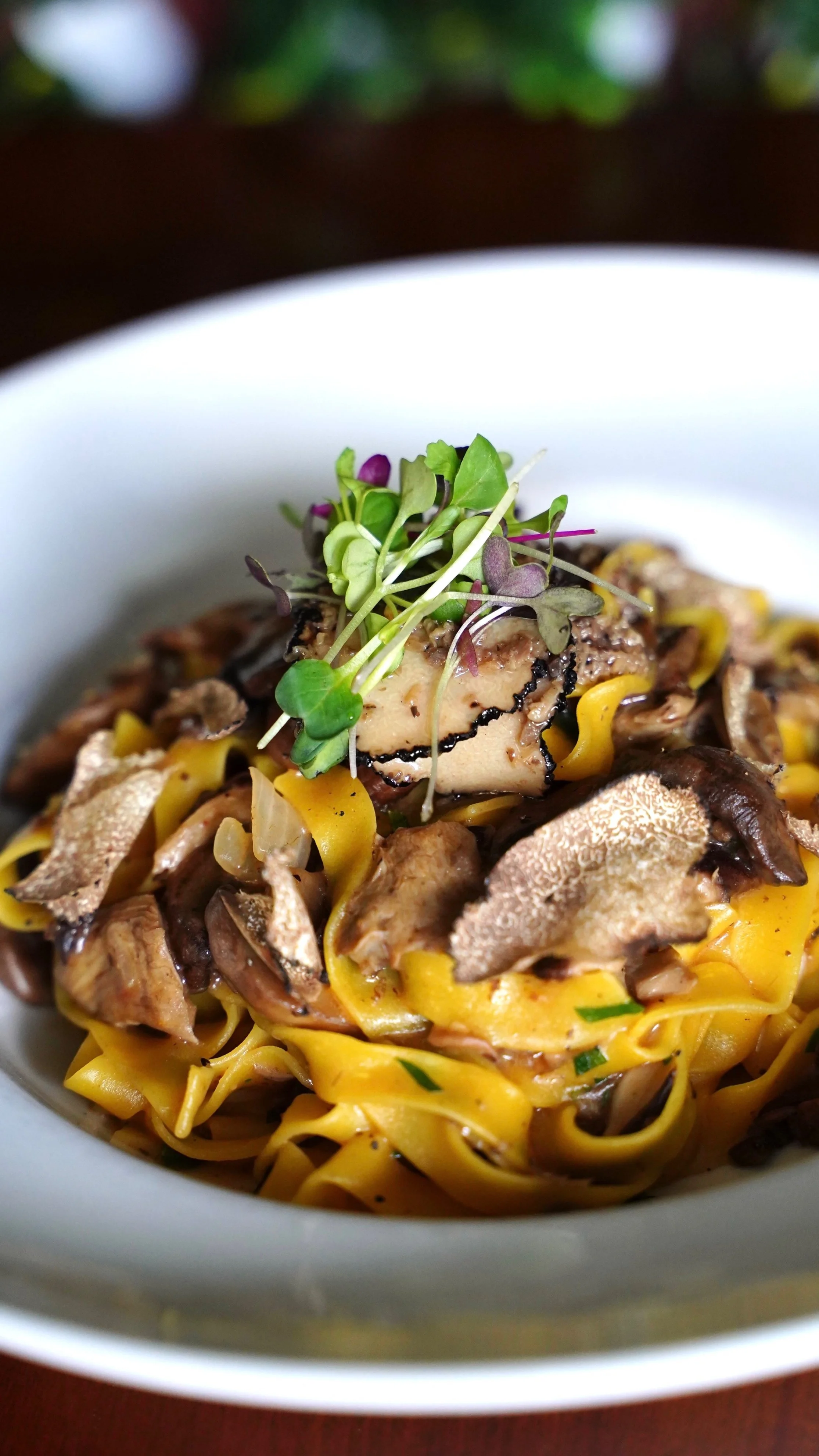 Close-up of a bowl of pasta topped with microgreens, mushrooms, and sauce.