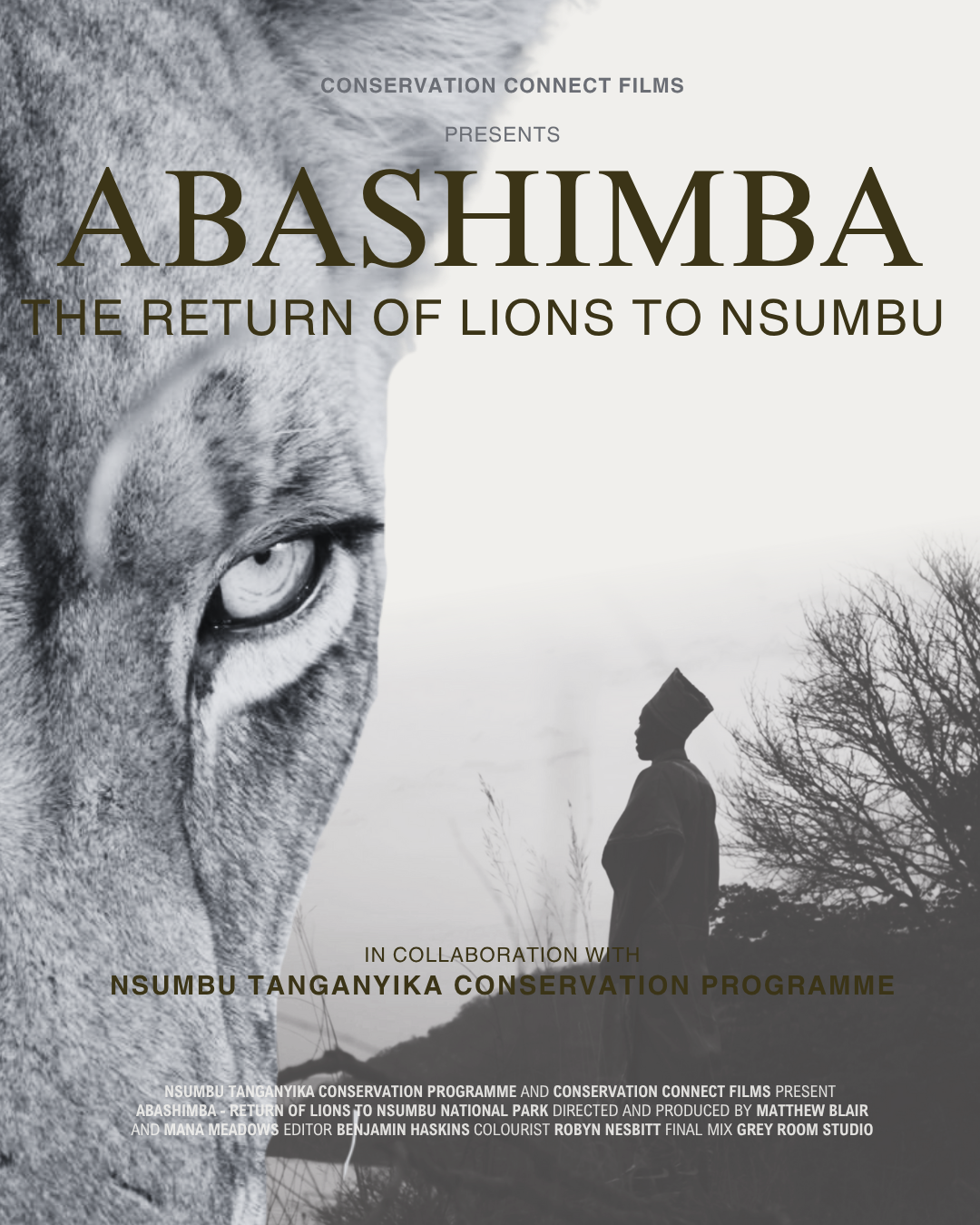 Conservation Connect Films conservation documentary about the reintroduction of lions into nsumbu national park zambia.