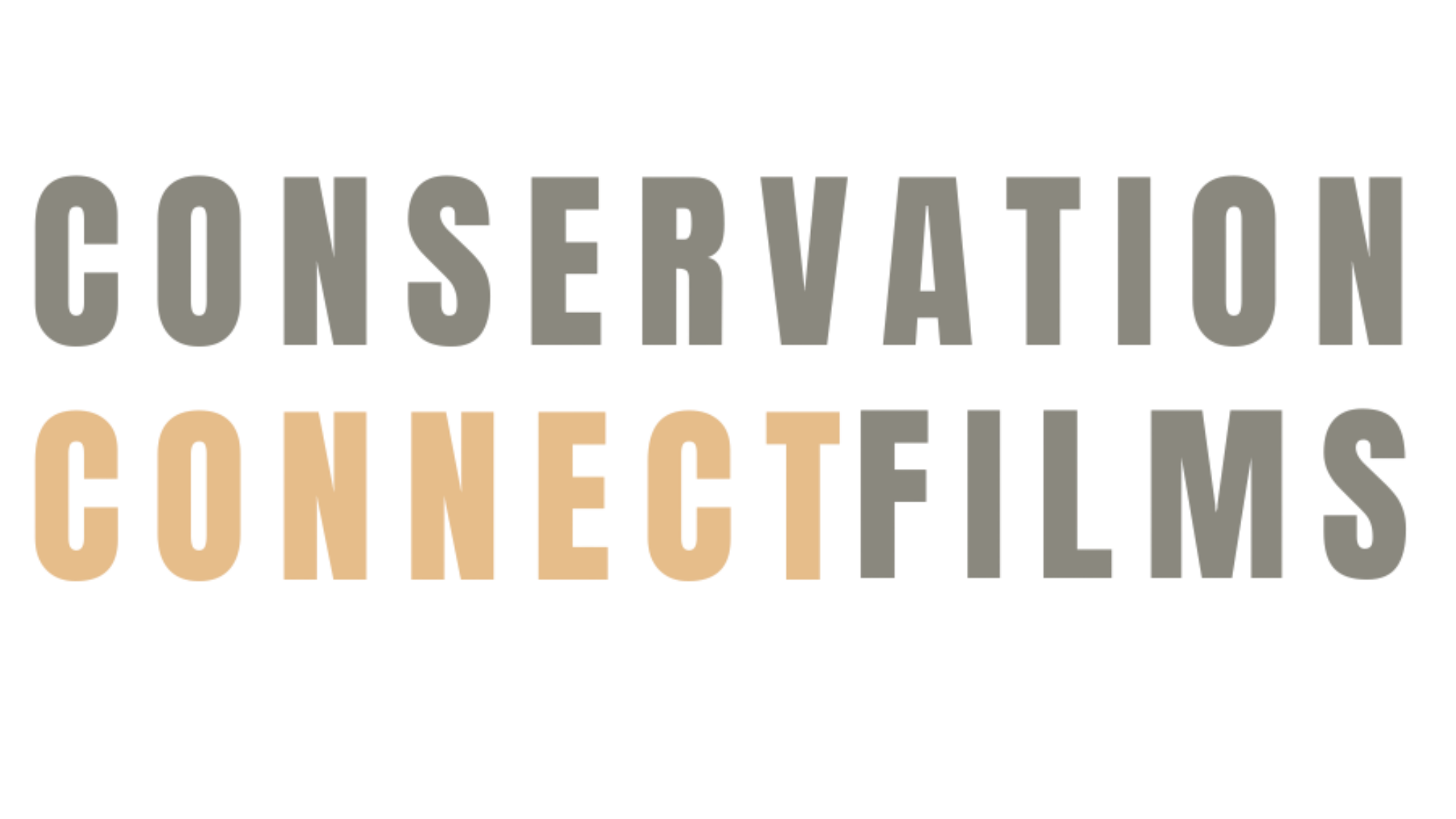 Conservation Connect Films logo. Wildlife and conservation filmmaking in Africa.