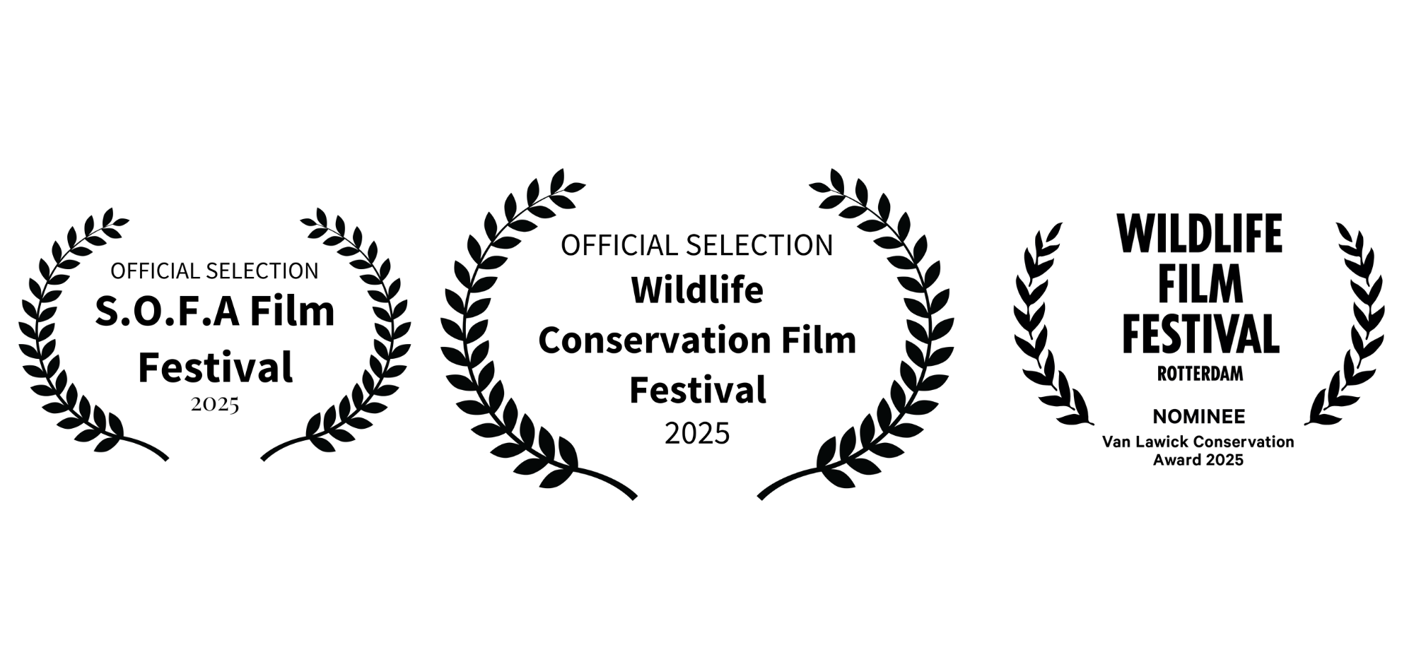 Abashimba - The Return of Lions to Nsumbu international film festival recognition.