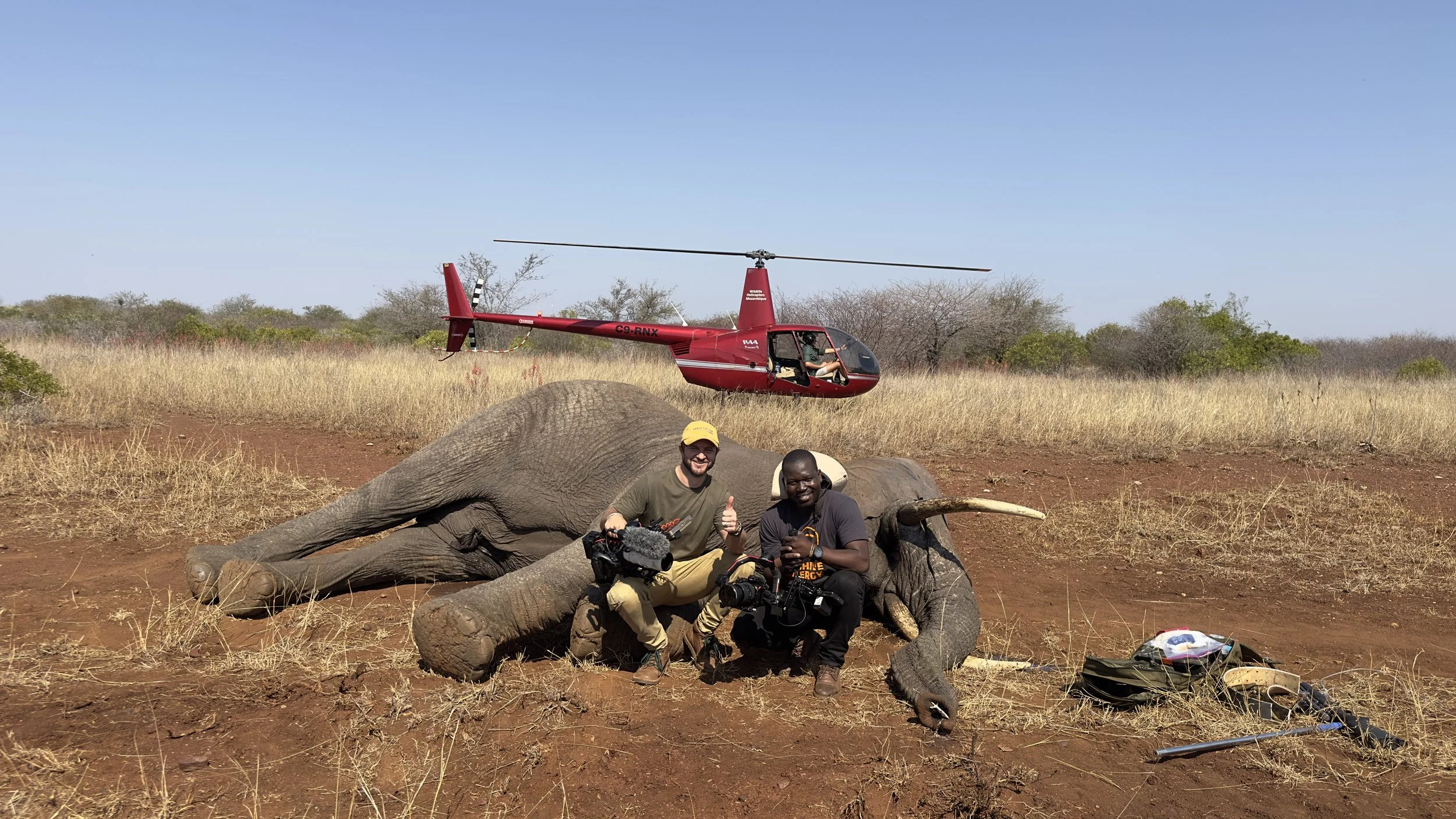 Conservation Connect Films Matt Blair and Wrightwel Nyirenda during elephant collaring in Mozambique with Mozambique Wildlife Alliance. Using DZO lenses.