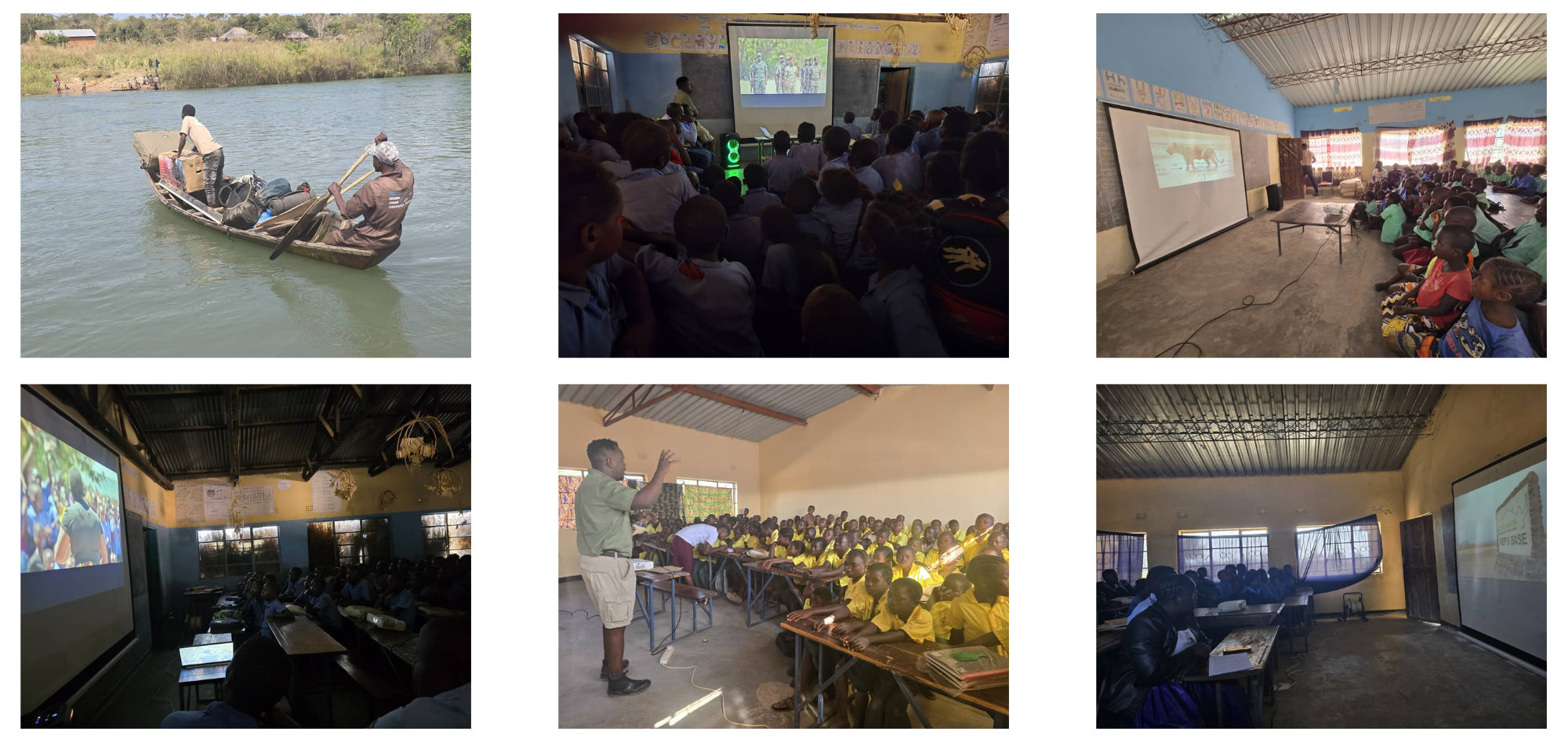 Conservation Connect Films abashimba the return of lions to nsumbu national park conservation documentary