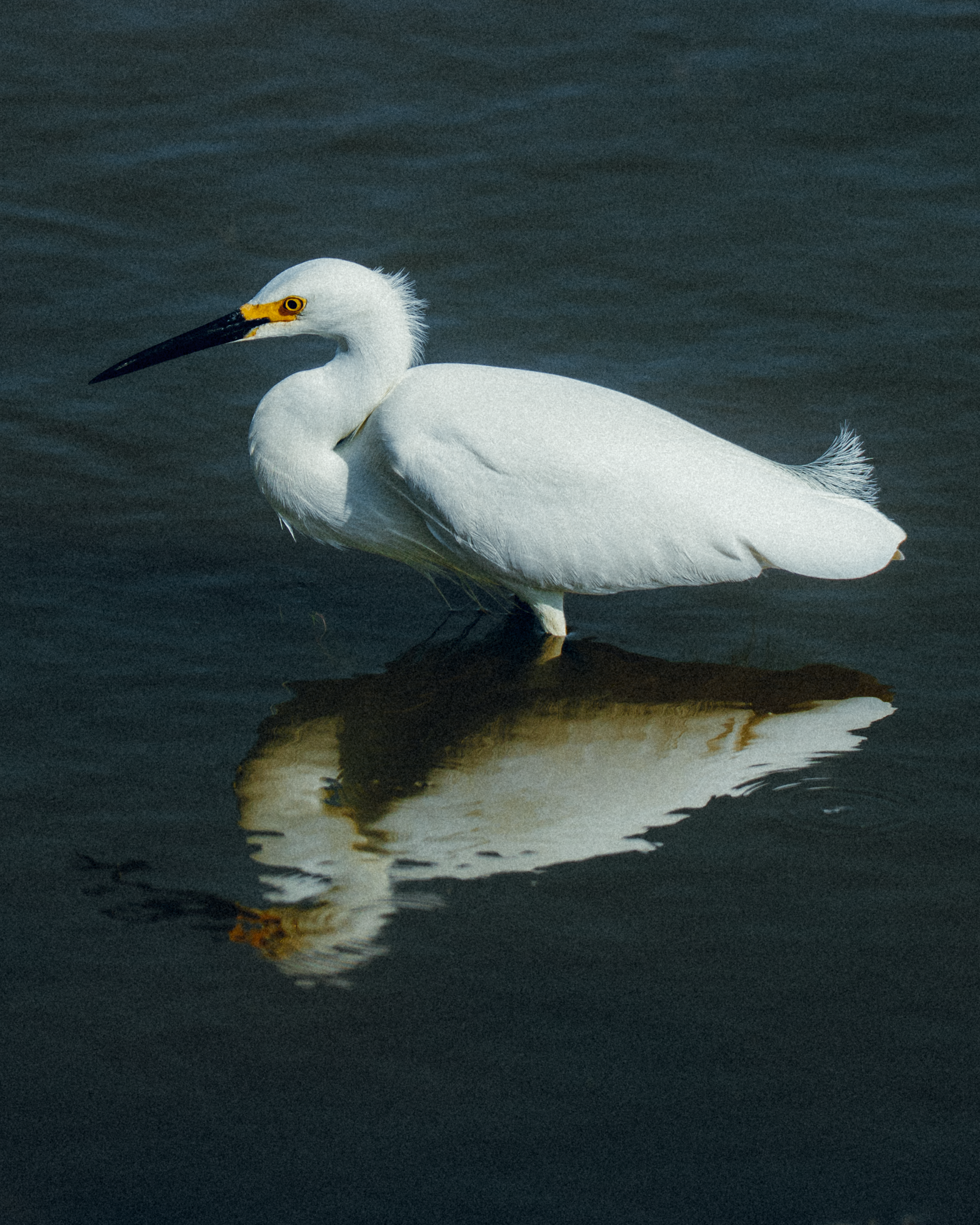 DSC08420-2.png