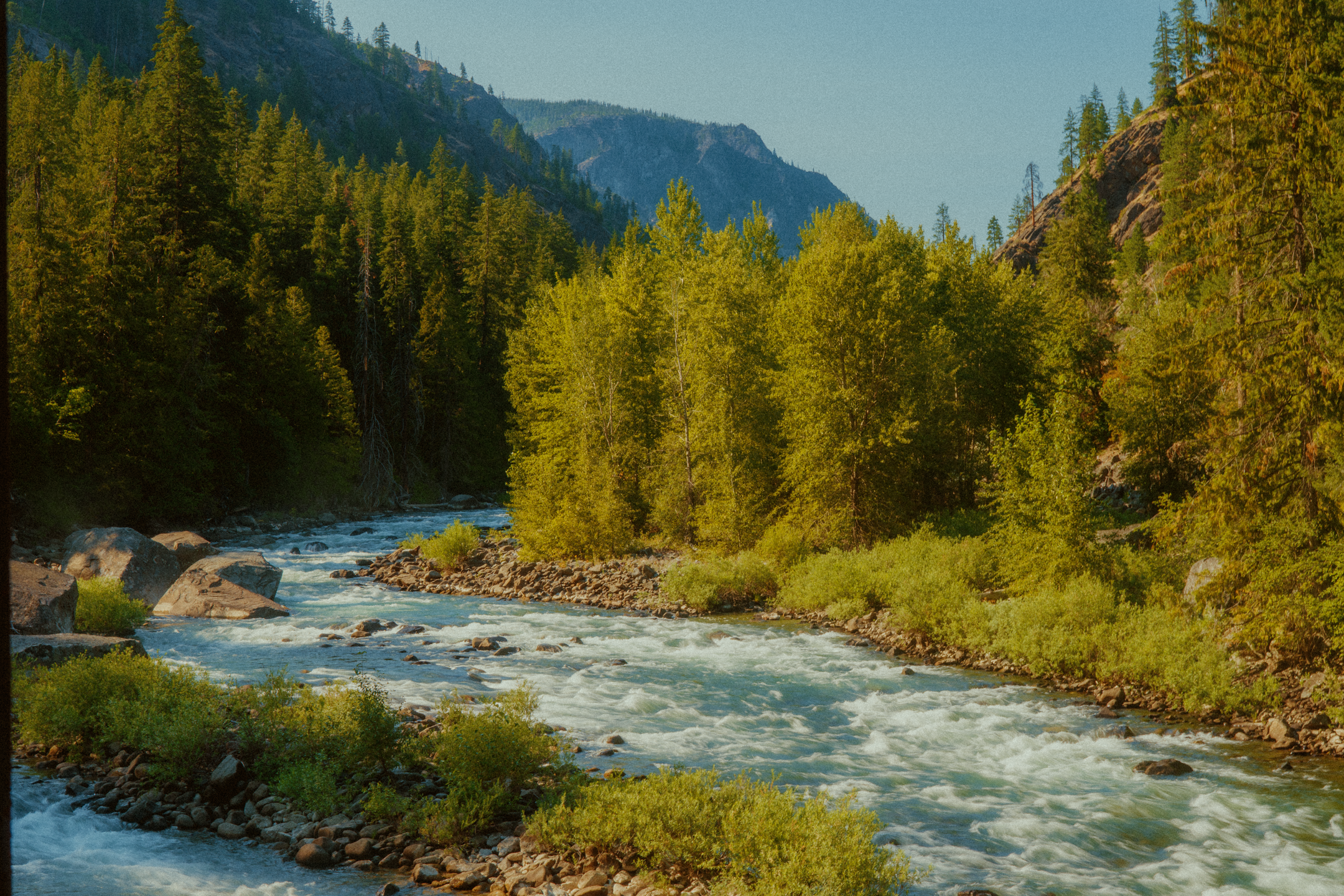 DSC00458-2.png