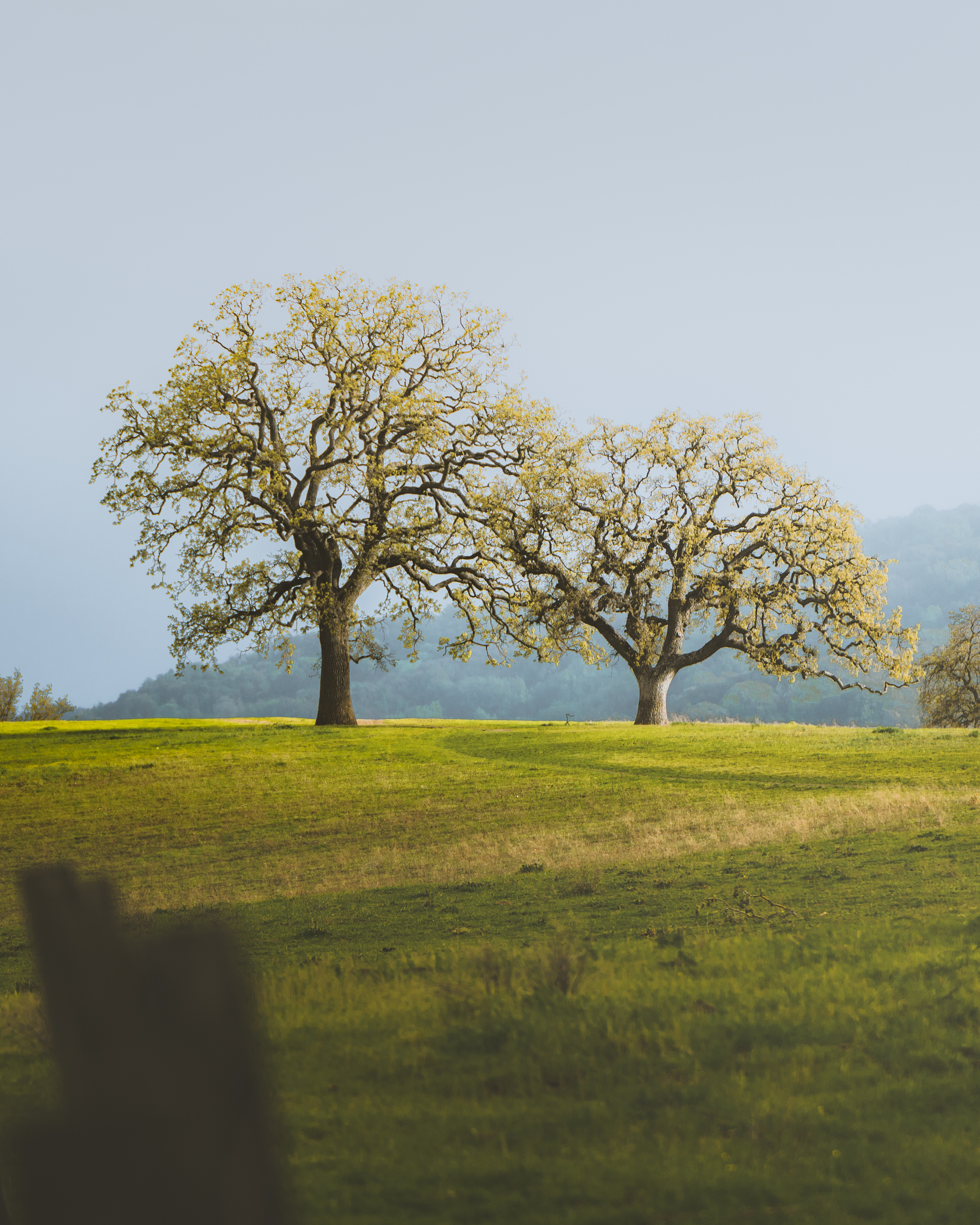 storytime frame54.PNG