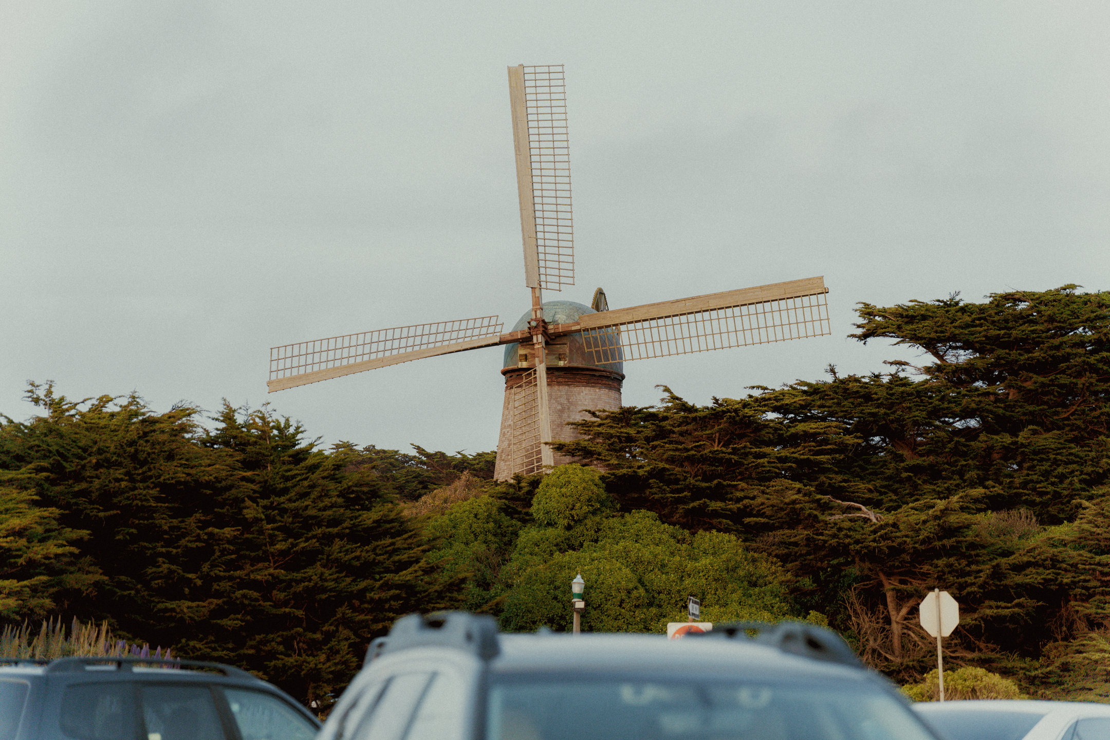 DSC06844.png