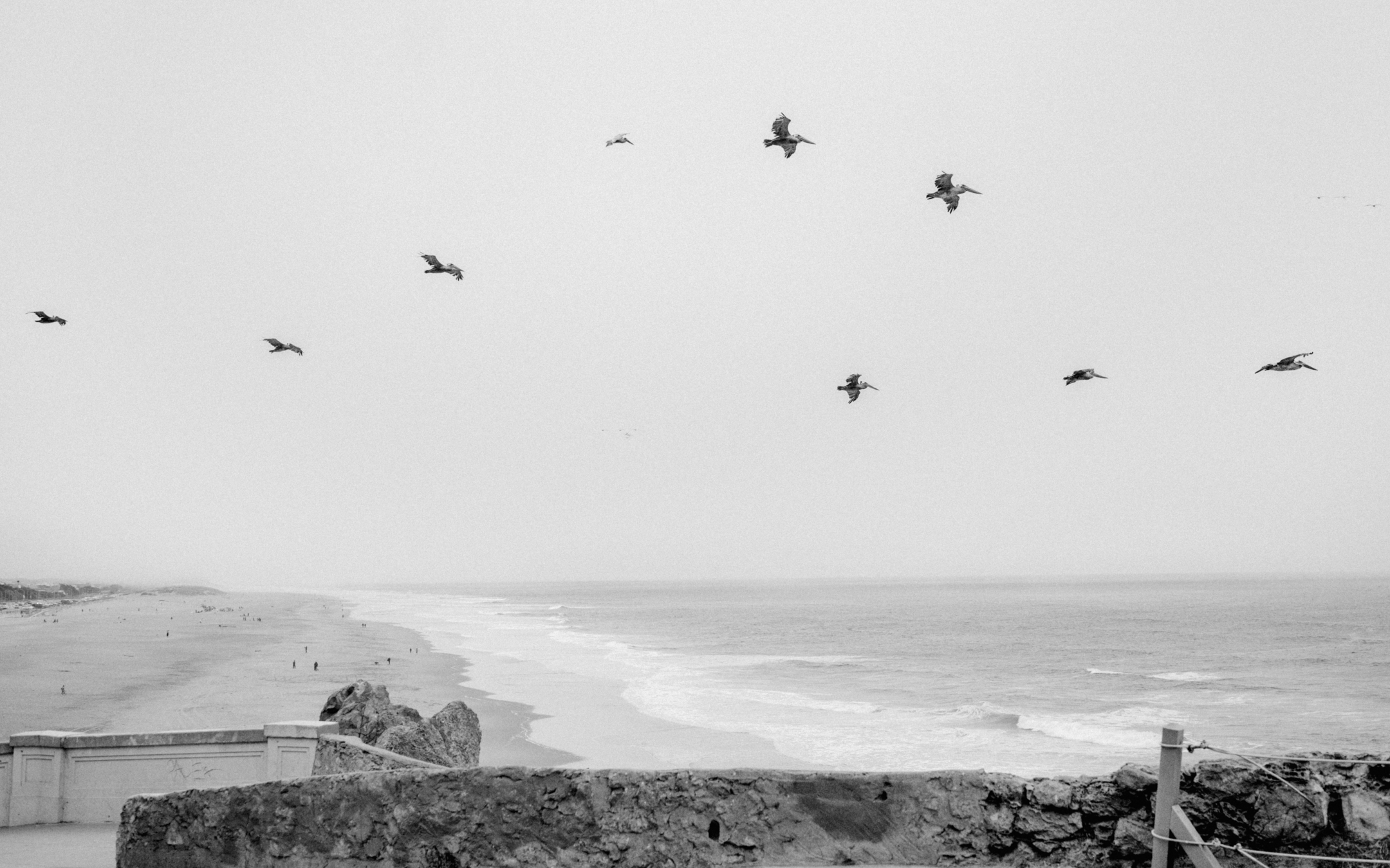 DSC08526.png