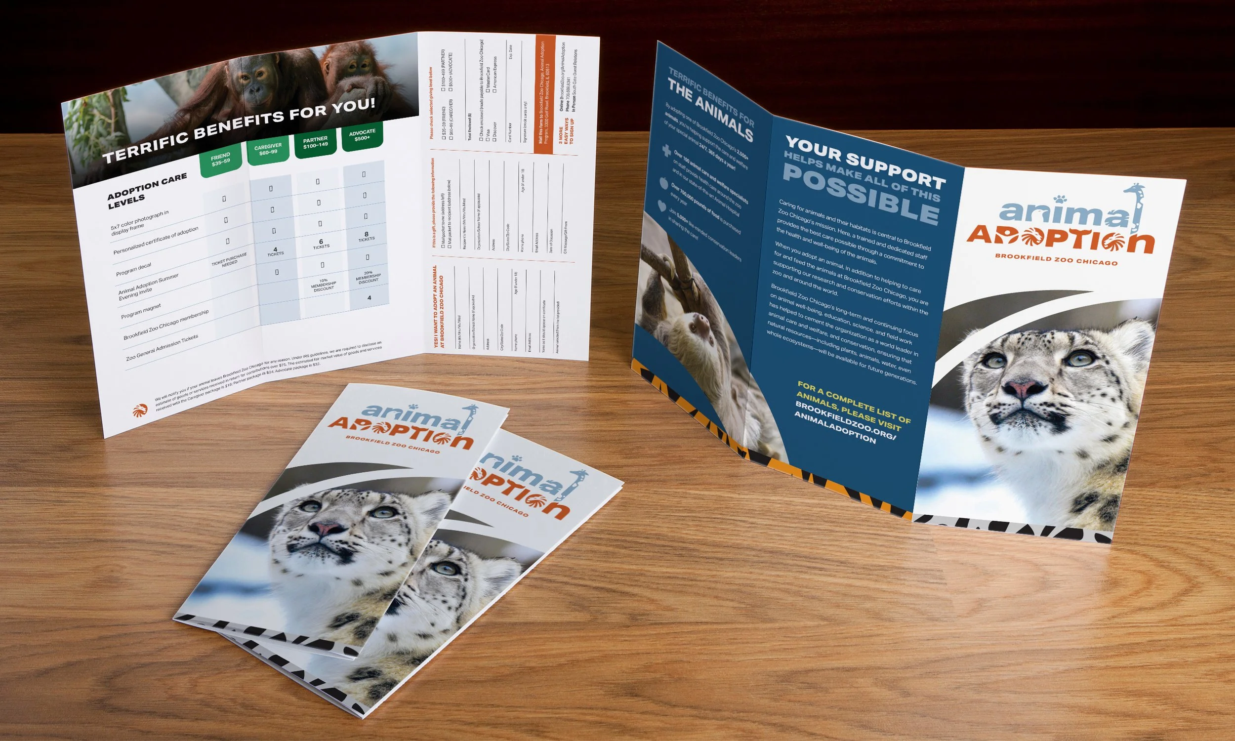 BFZ_Adoption_Brochure.jpg