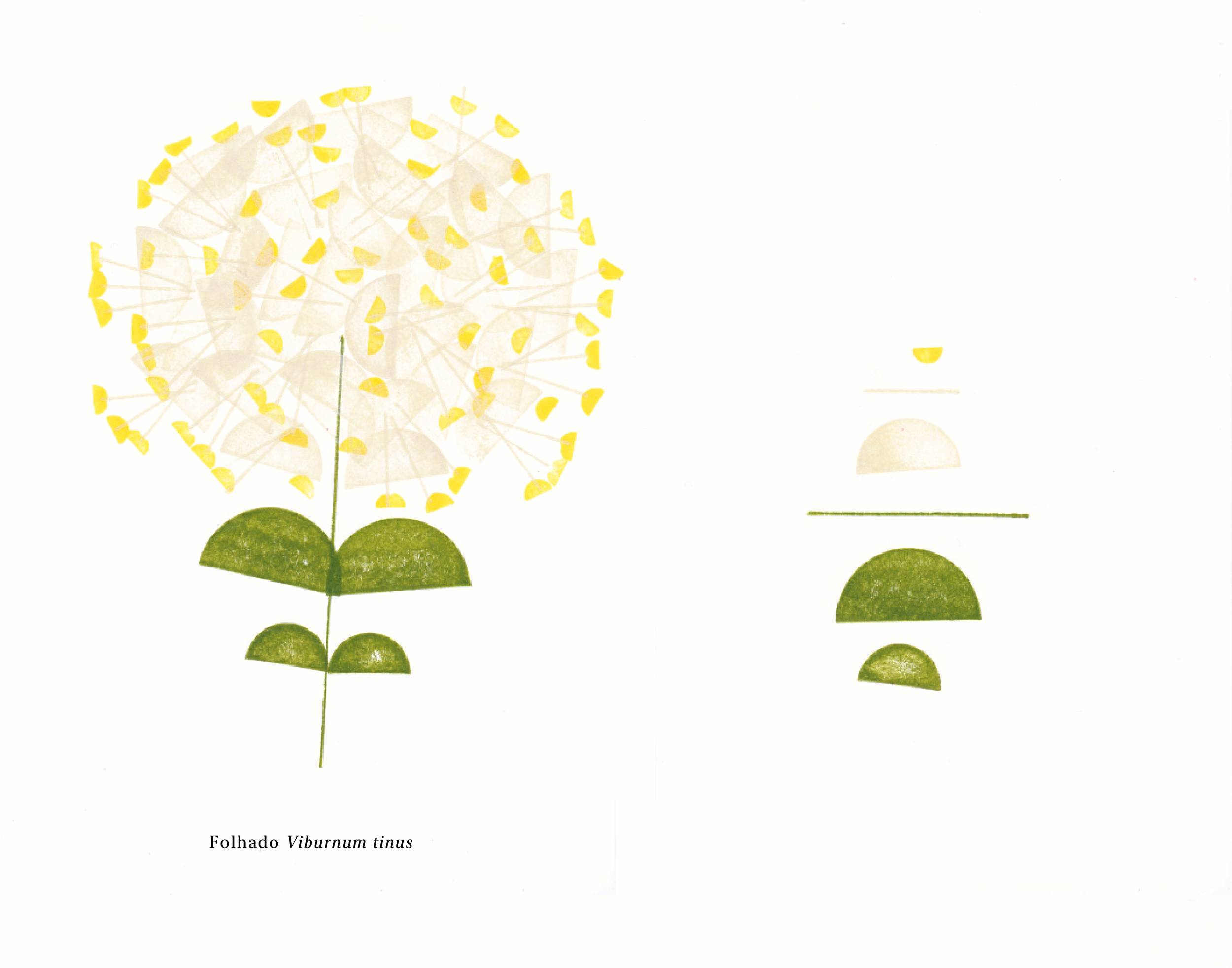 Biomontado_Bernardo_Bagulho_web-06.png