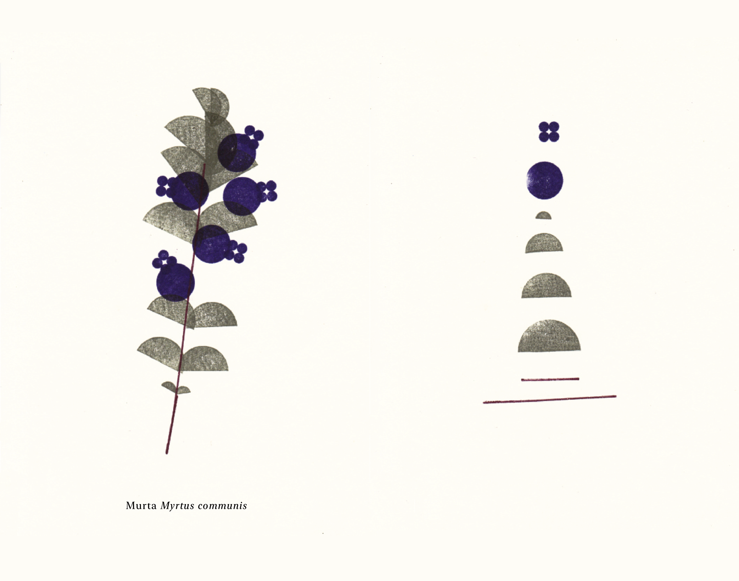 Biomontado_Bernardo_Bagulho_web-04.png