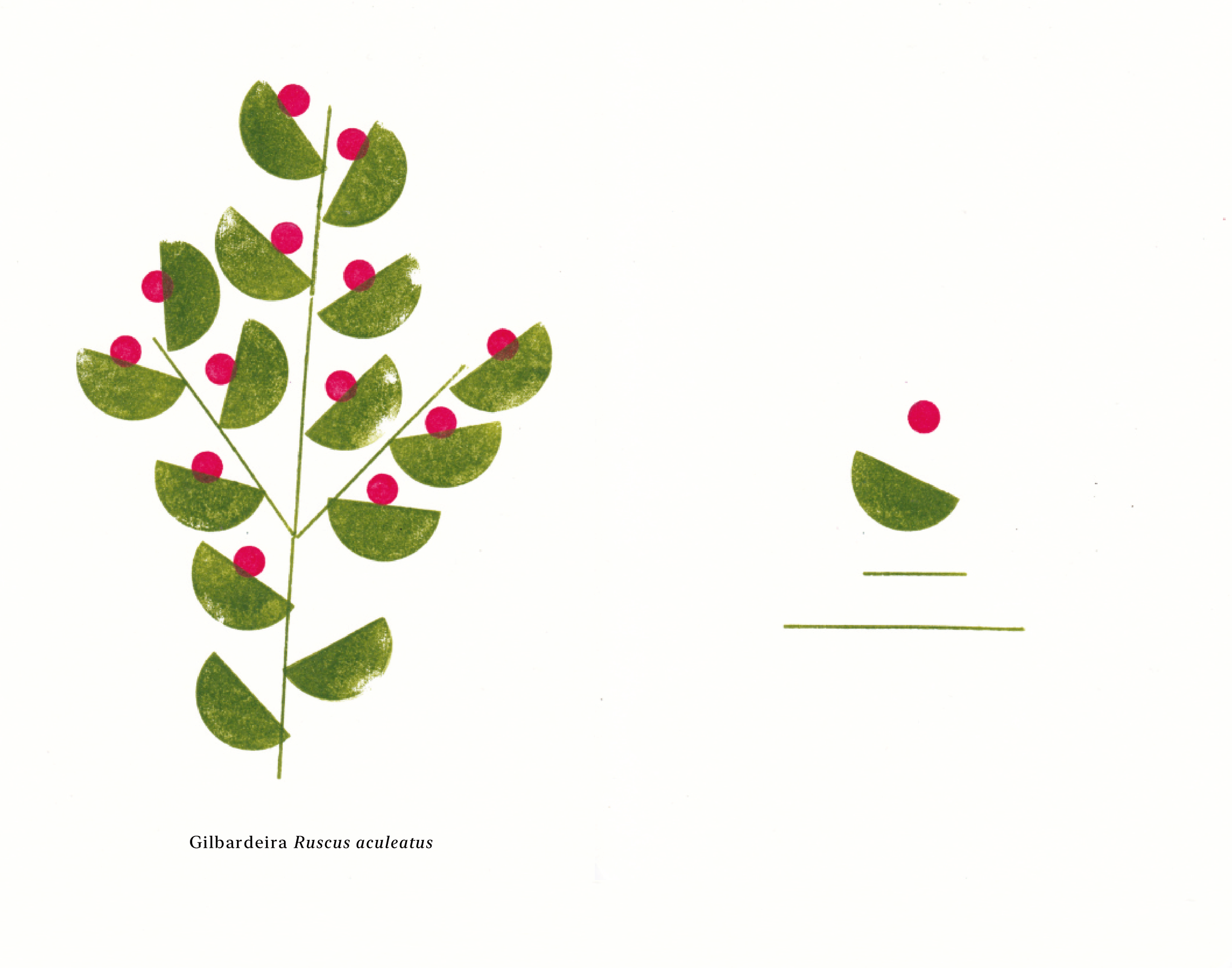 Biomontado_Bernardo_Bagulho_web-03.png