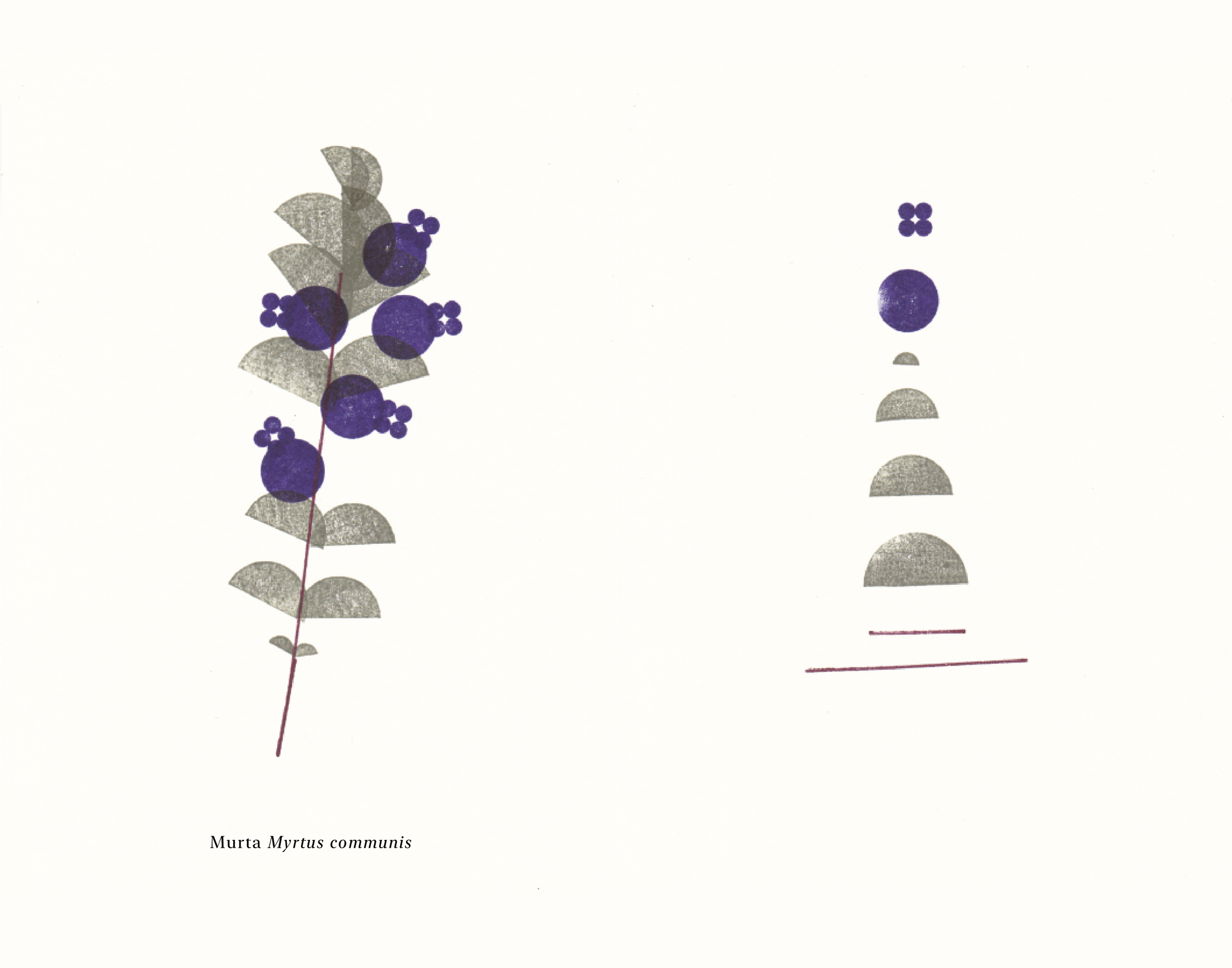 Biomontado_Bernardo_Bagulho_web-05.png