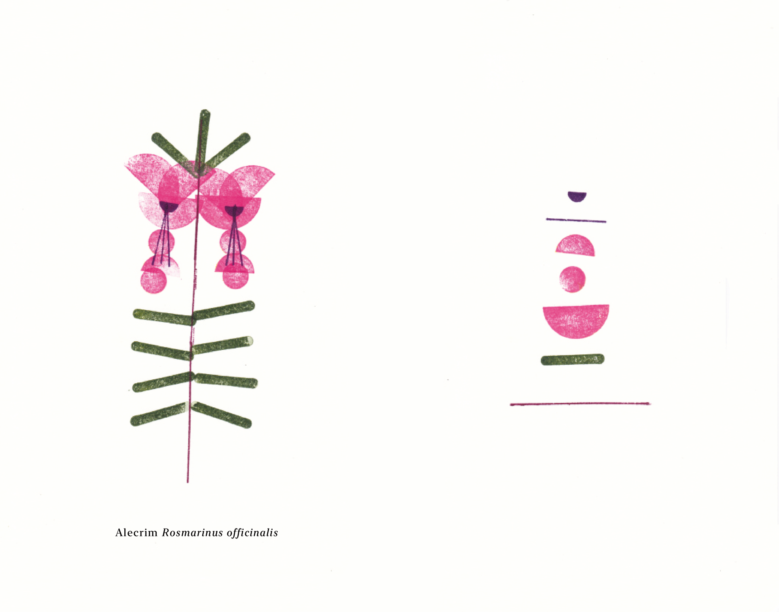 Biomontado_Bernardo_Bagulho_web-05.png