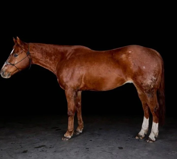 Mac (HEZA COOL PEPPER)