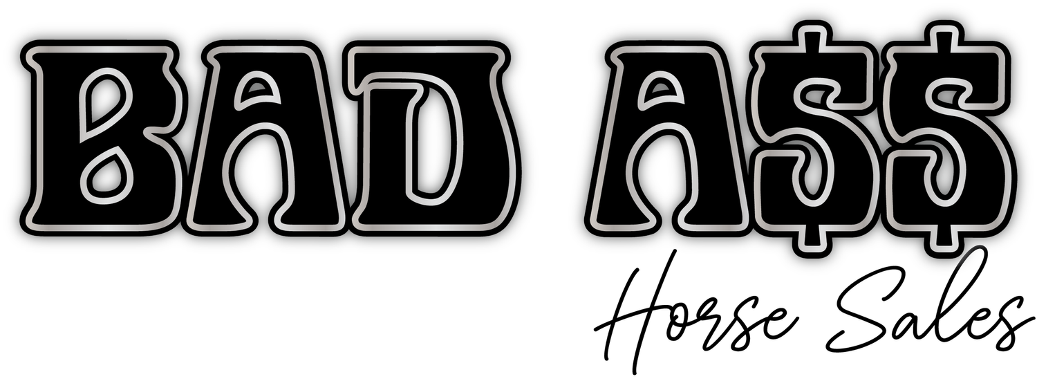Bad Ass Horse Sales