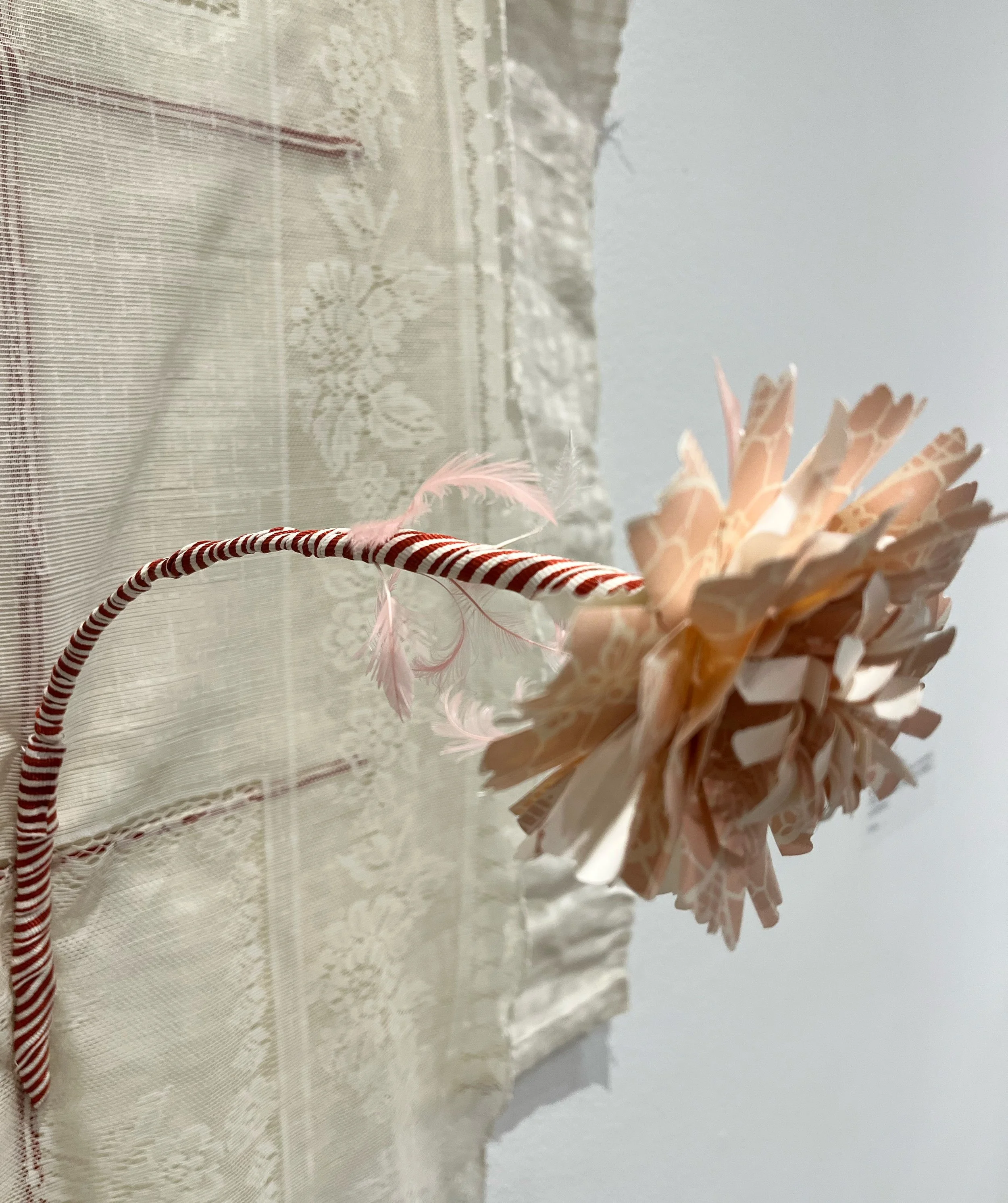 delightful disdain 6-2.jpg