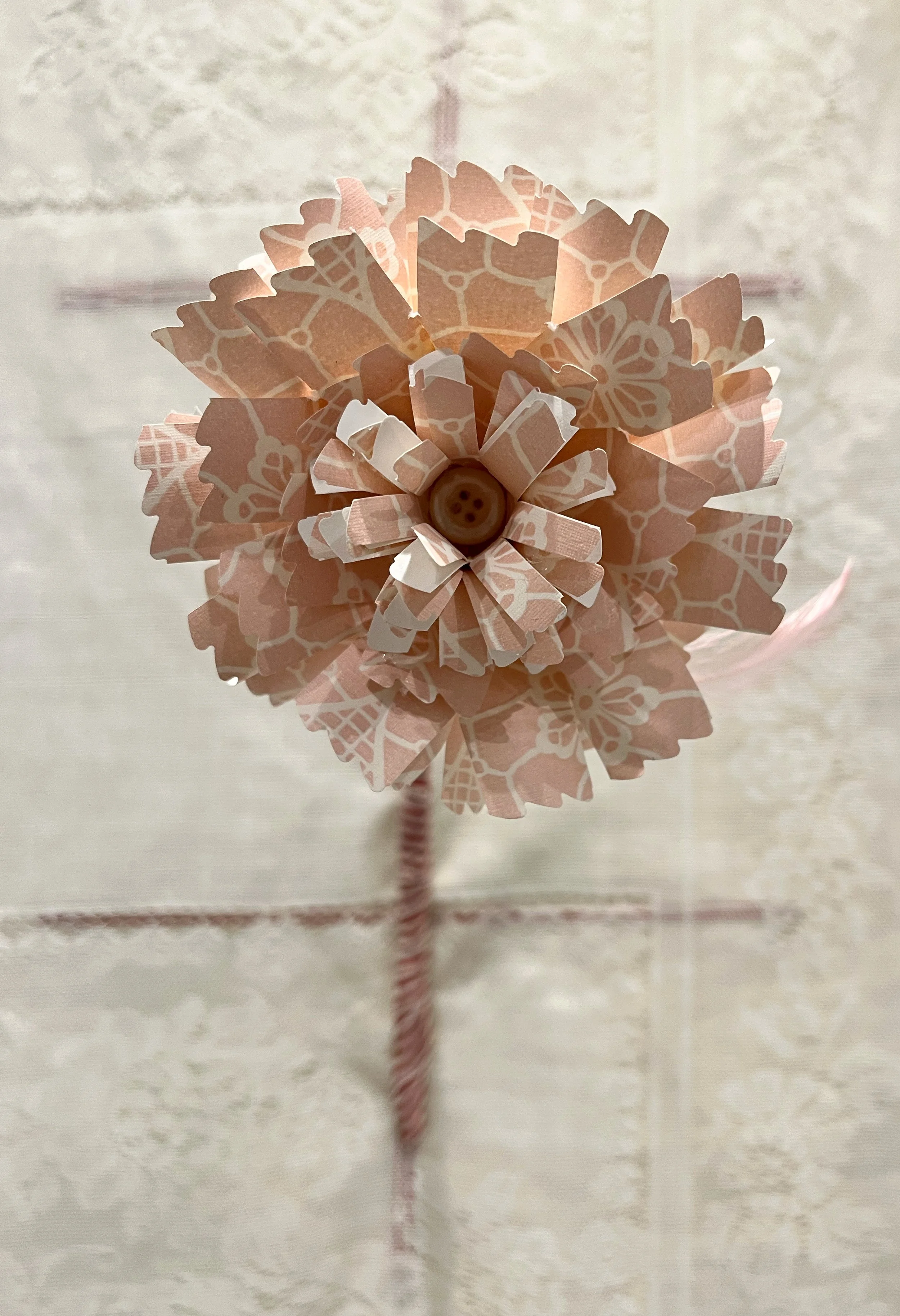 delightful disdain 5-2.jpg