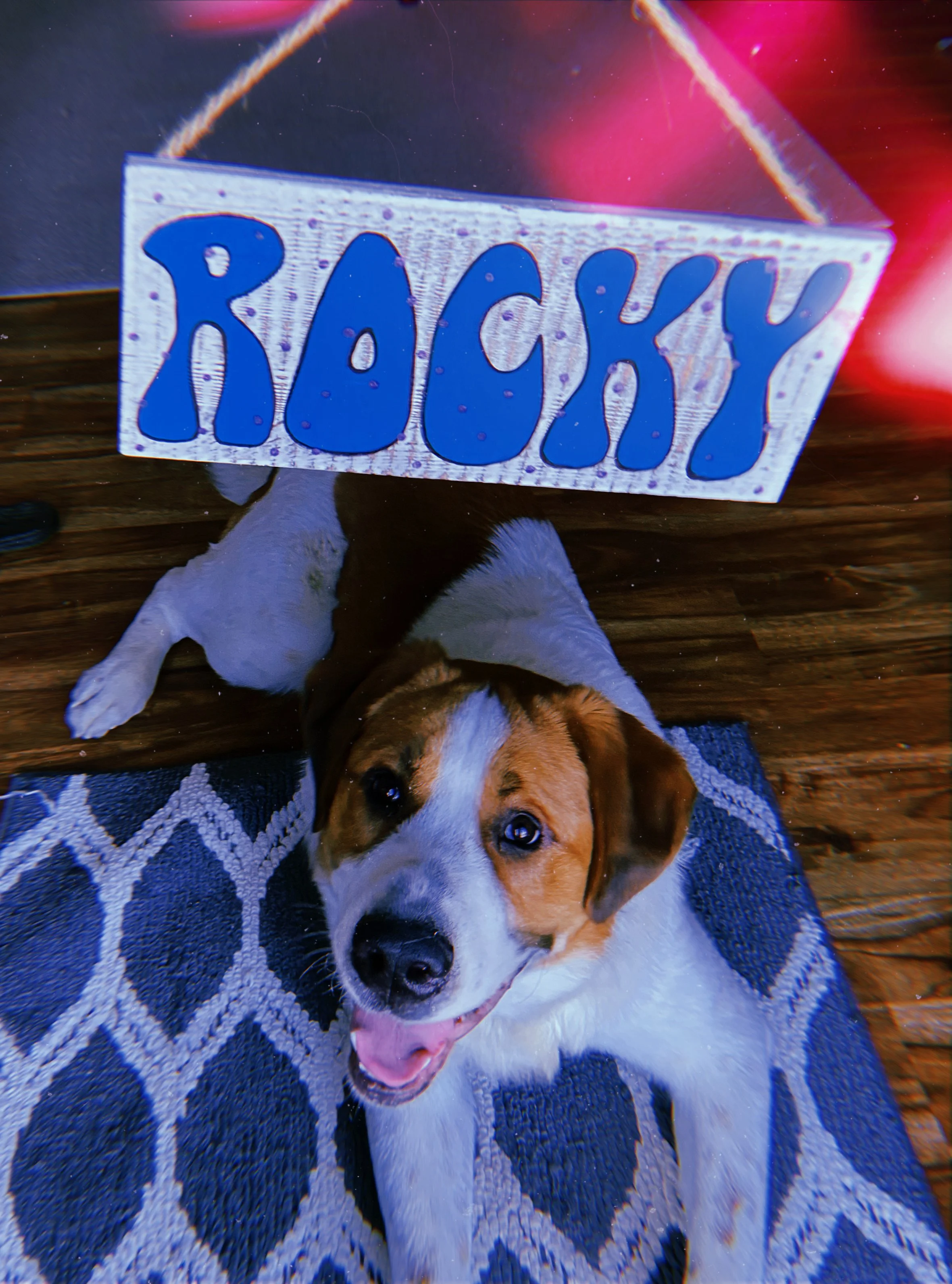 2021-02-12 22_26_56.435 copy.JPG