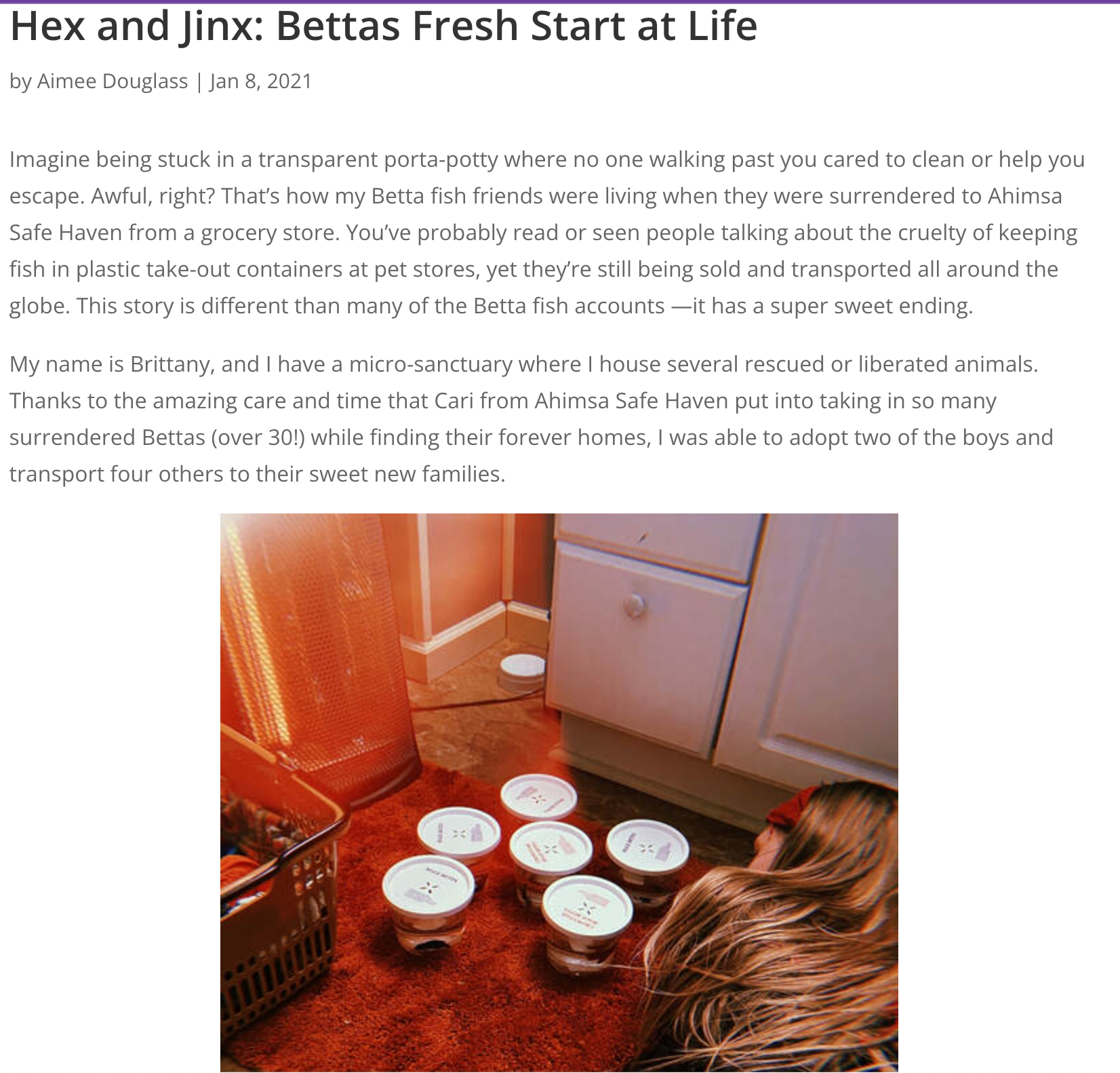 Check out this blog post on Betta Rescue by our founder through Humane Action Pittsburgh!