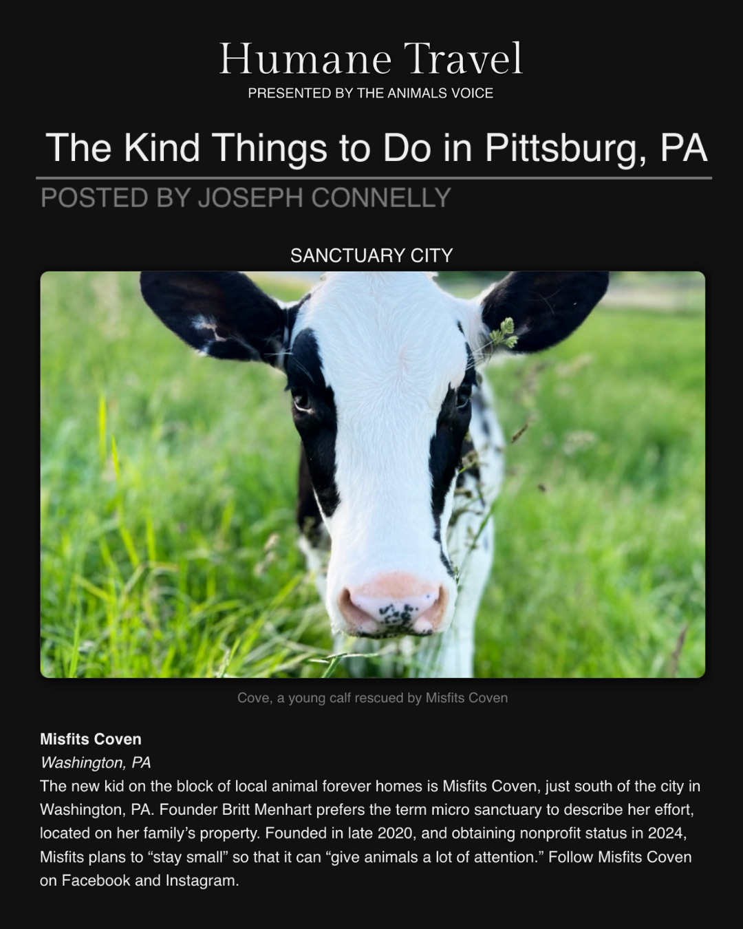 Check out Misfits featured in this ‘Kind Pittsburgh’ article by The Animals Voice!