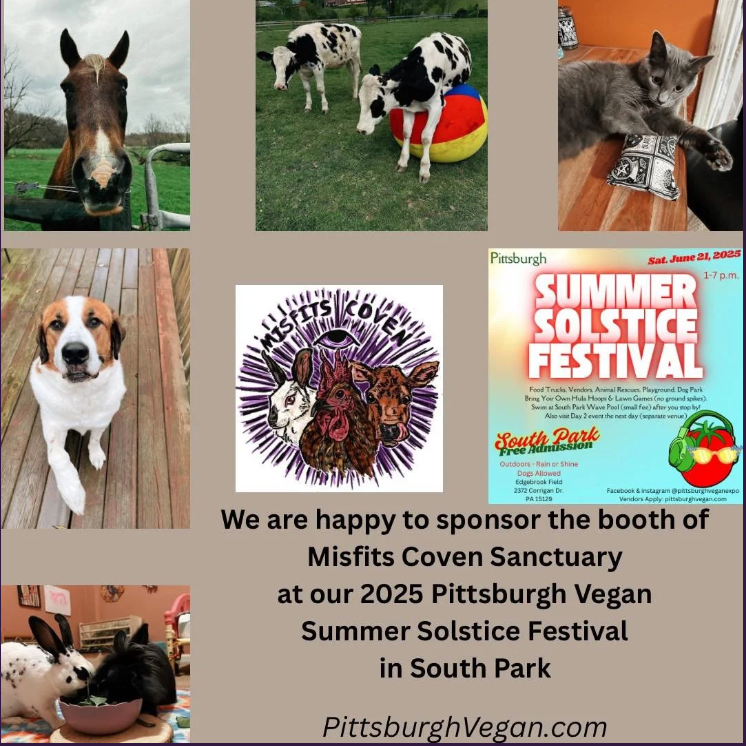 Thanks to Pgh Vegan Expo for sponoring our table at Summer Solstice Festival on June 21st!