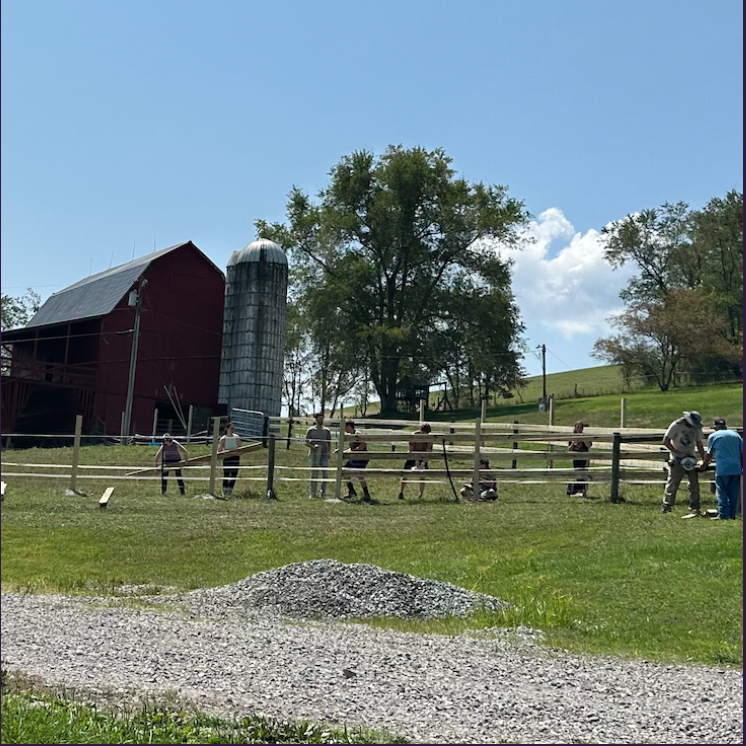 Our successful and helpful first ever public volunteer day!