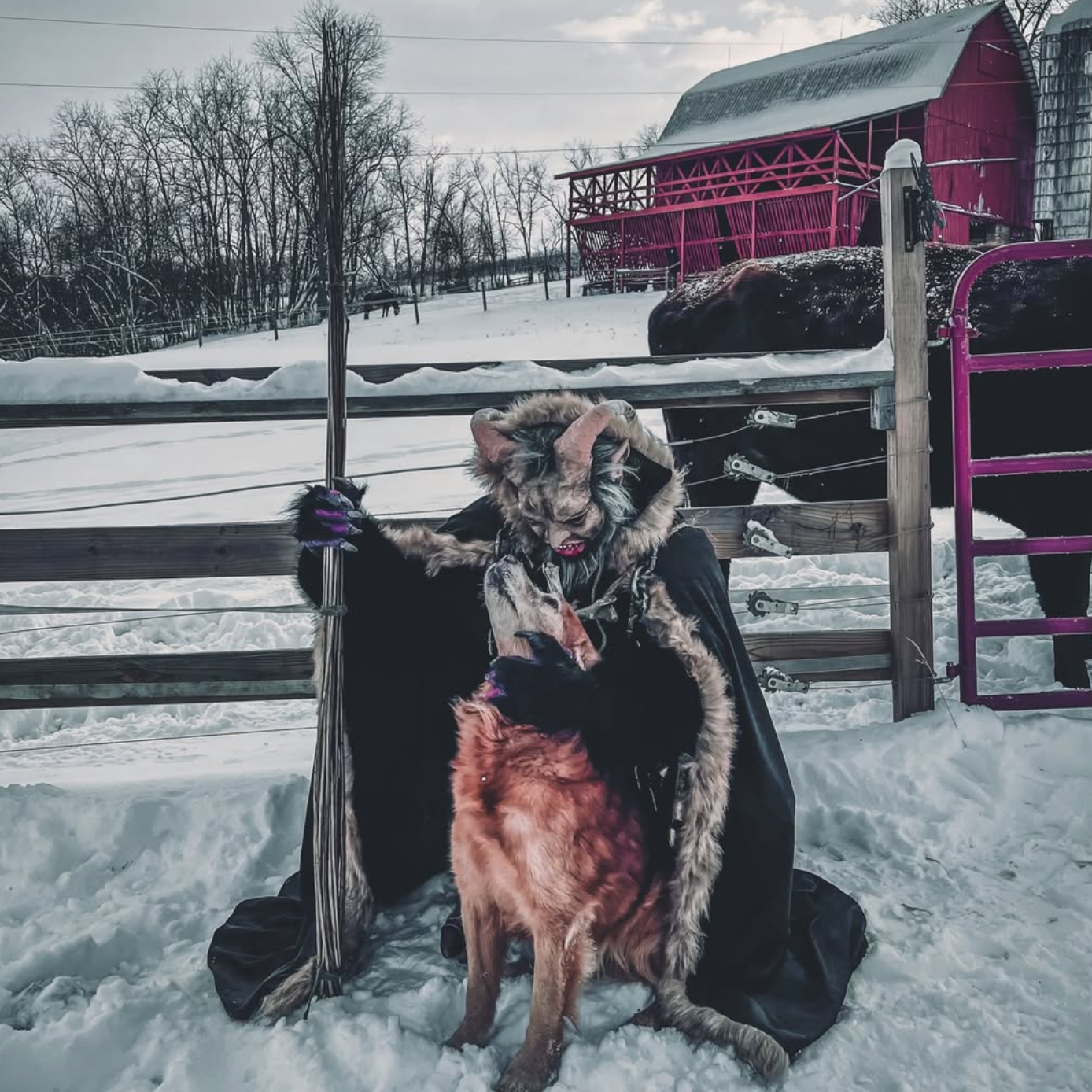 Thank yinz for a successful and fun first annual ‘Krampus with the Misfits’ fundraiser party!