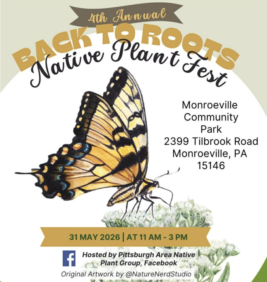 Come say hi and pick up native plants at Back to Roots Native Plant Fest on May 31st!