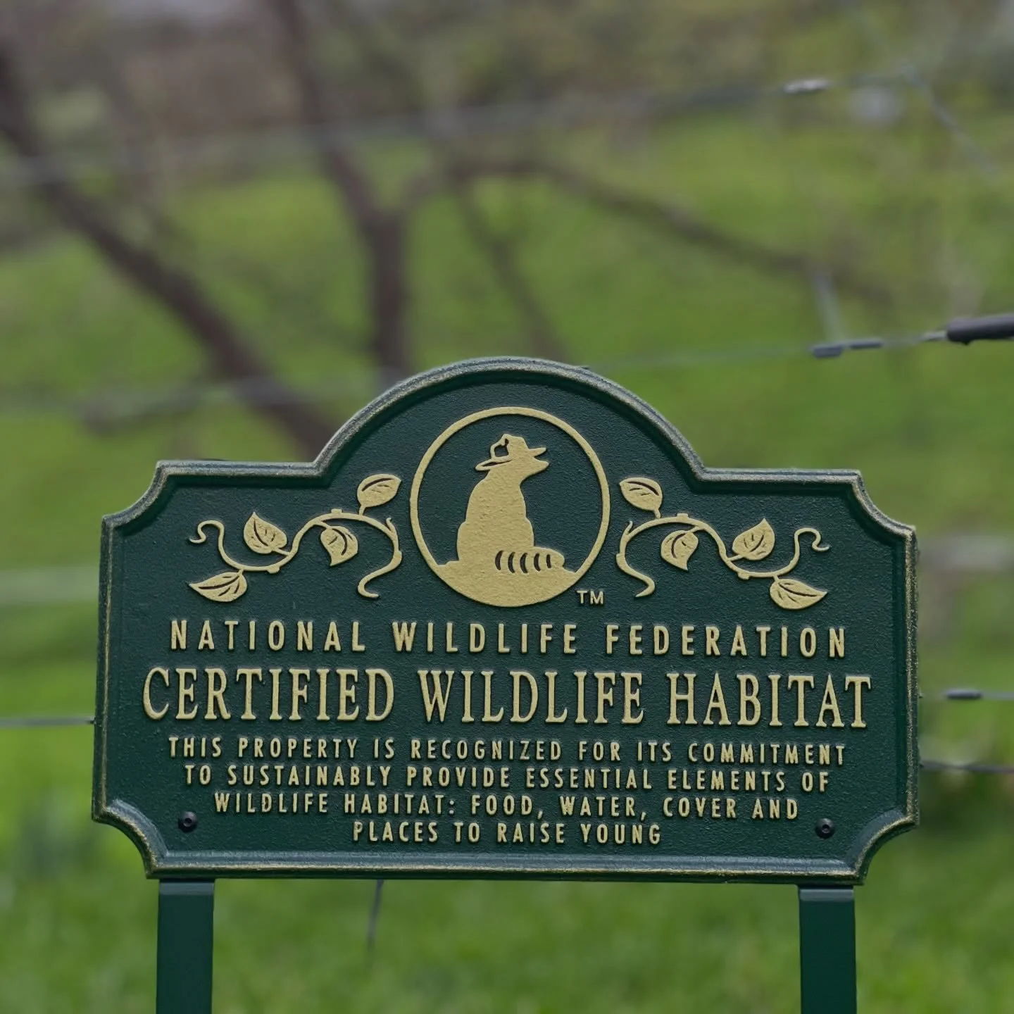 Misfits Coven is officially a certified wildlife habitat! 