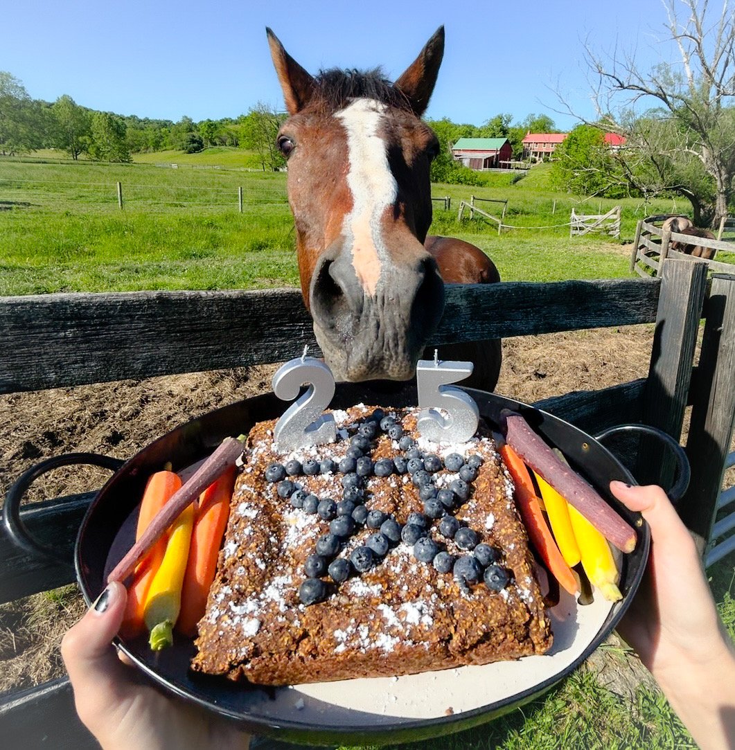 Celebrate your equine pal’s birthday with an easy cake recipe they will all adore!