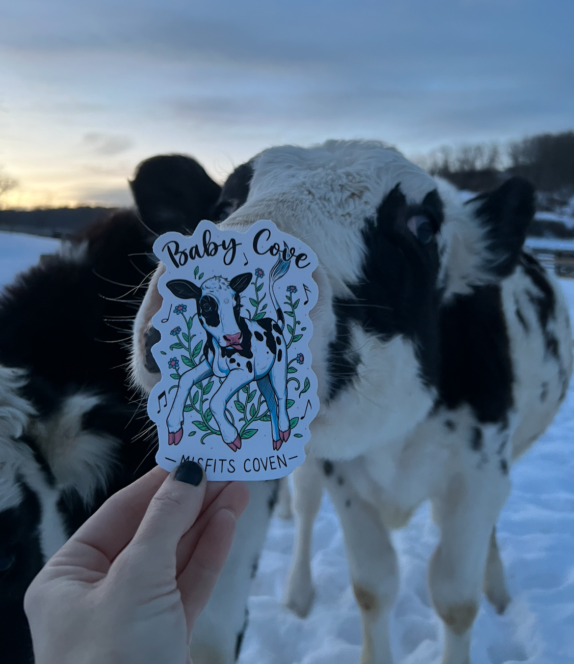 Baby Cove large sticker!