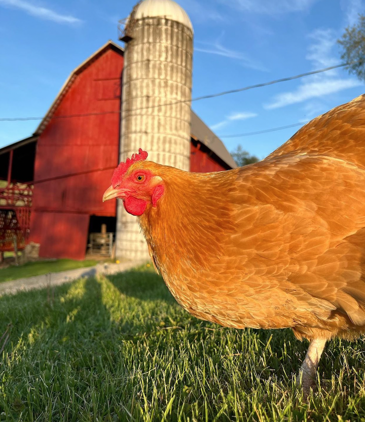 Blanche at the Coven