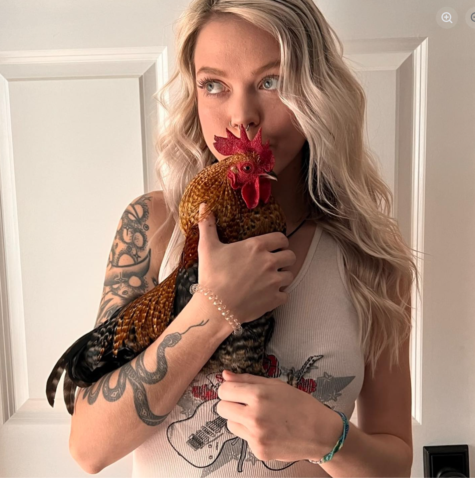 Screenshot 2026-02-21 at 12.43.51.png