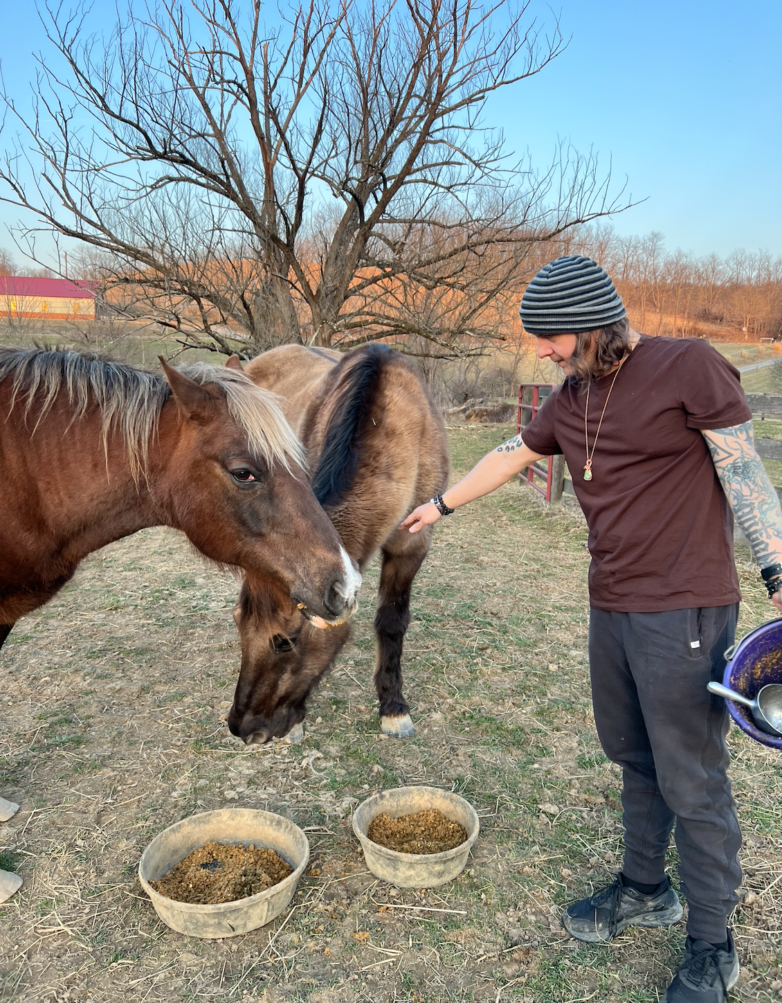 Jason, Cumin, and Paprika