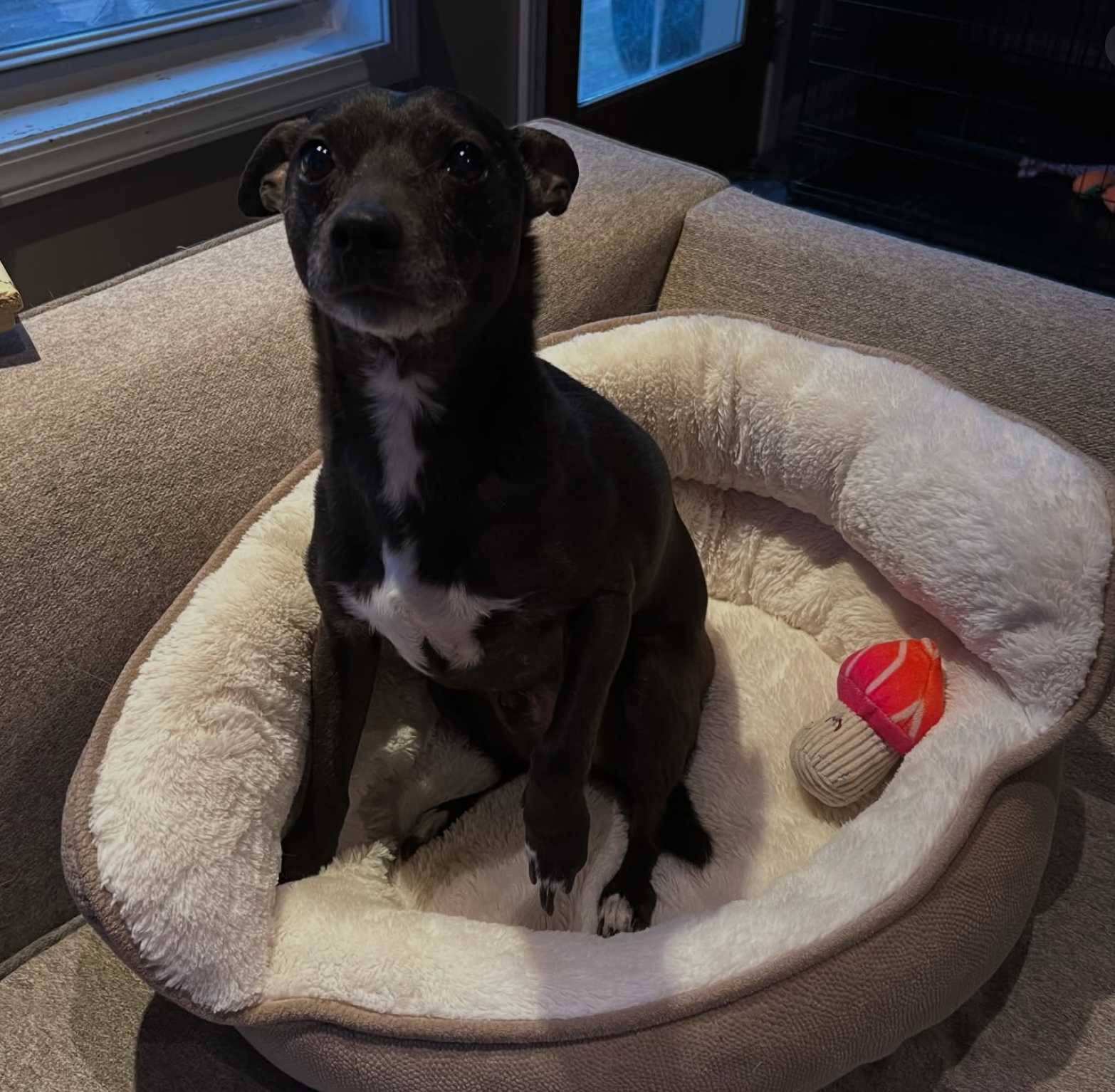 Screenshot 2025-10-30 at 14.03.39.png