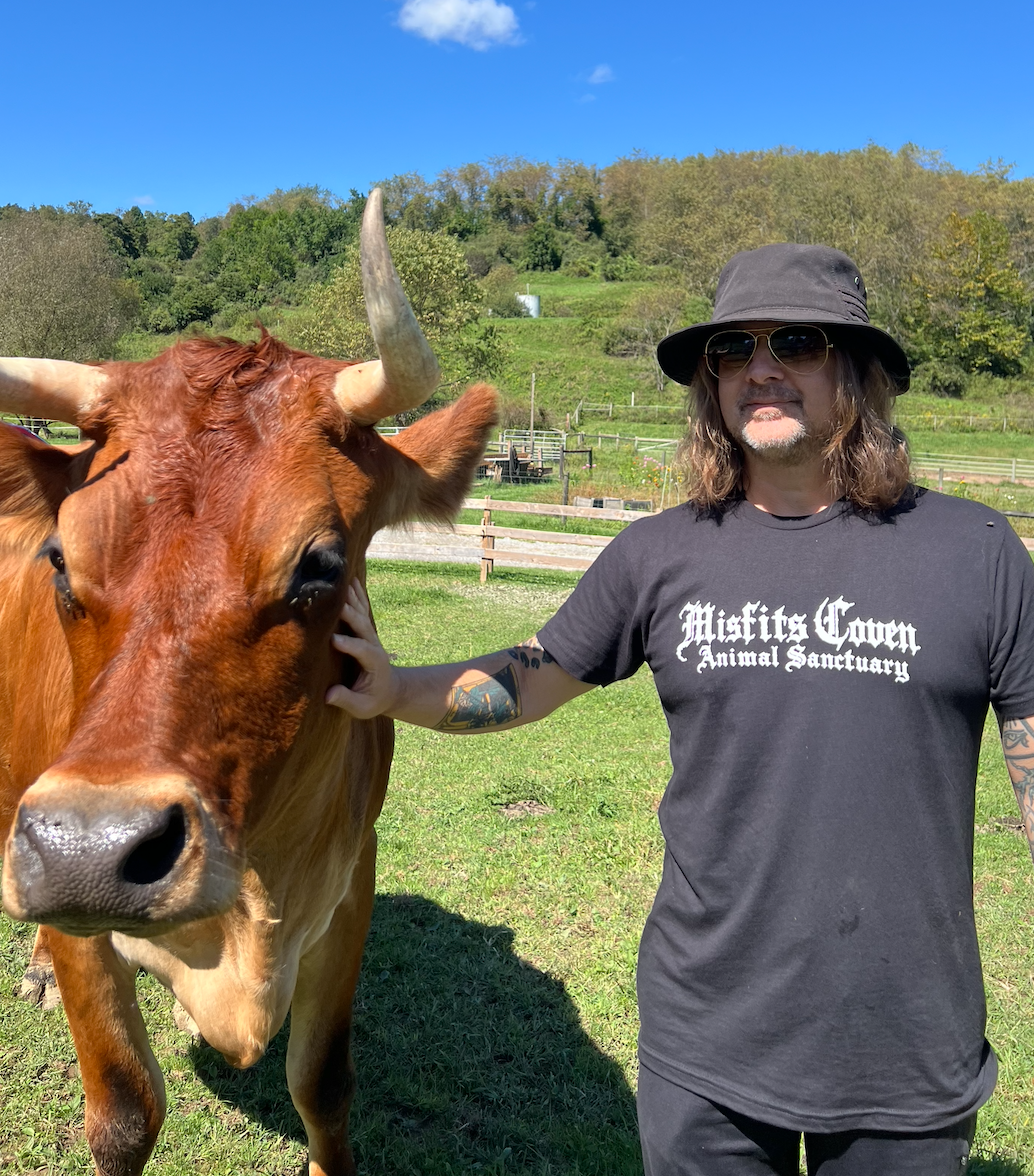 frontcow.png