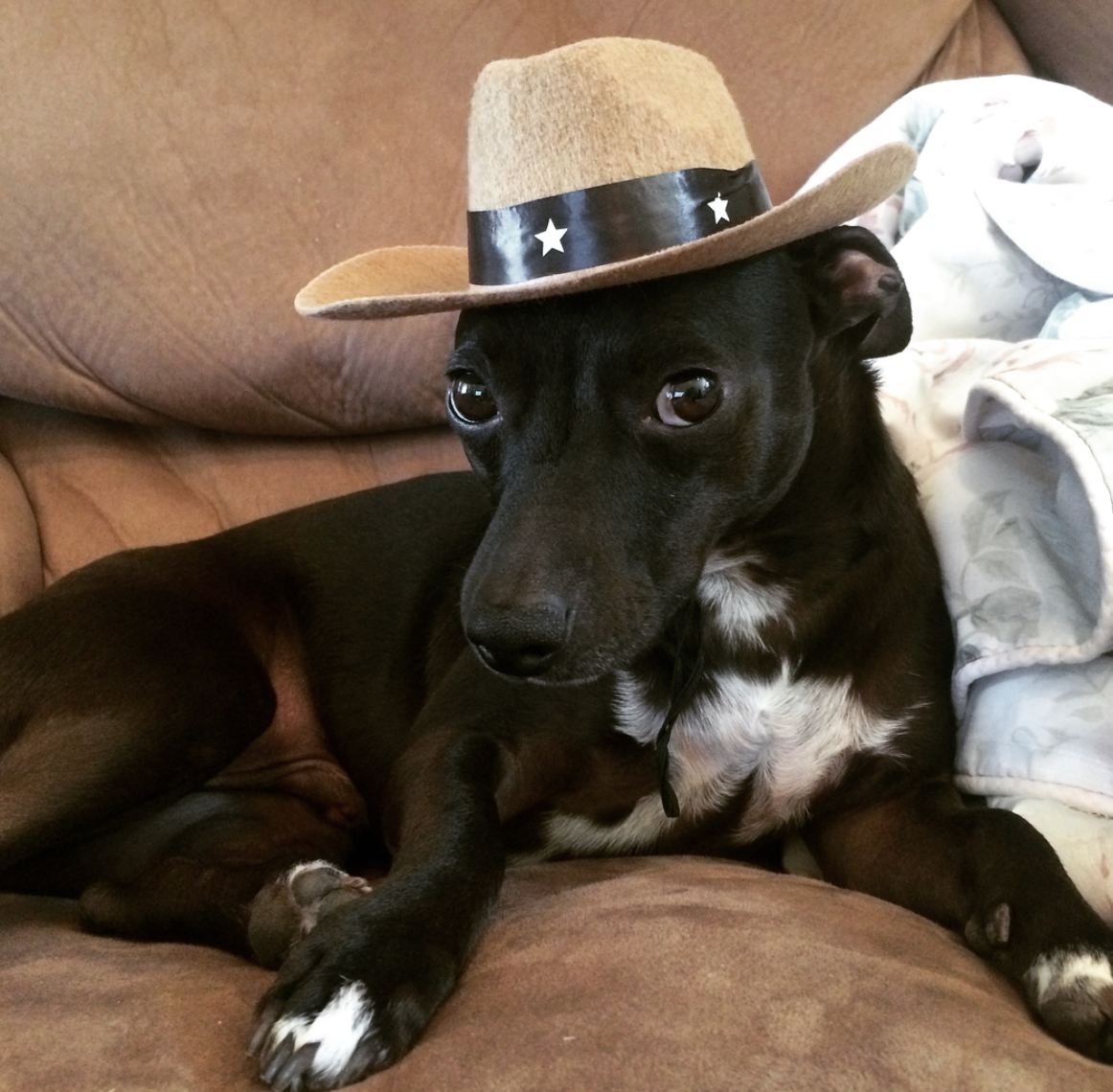 Fenton