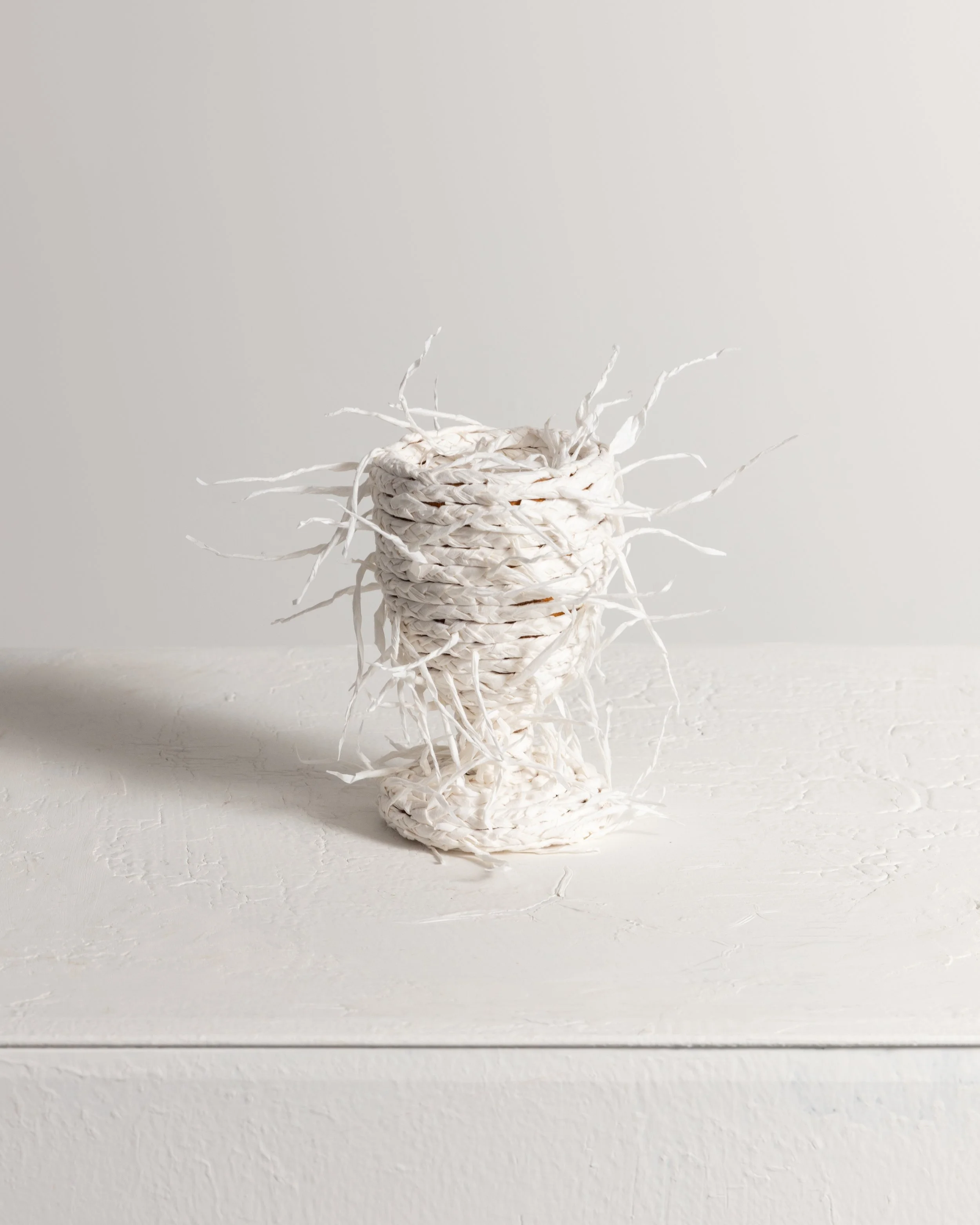 Untitled (from the series Where It Paused)