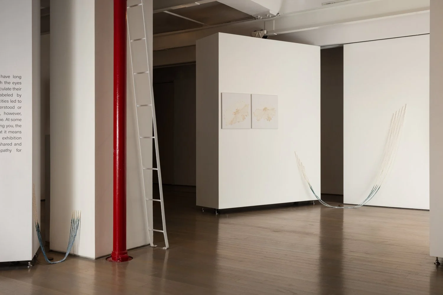 Installation view