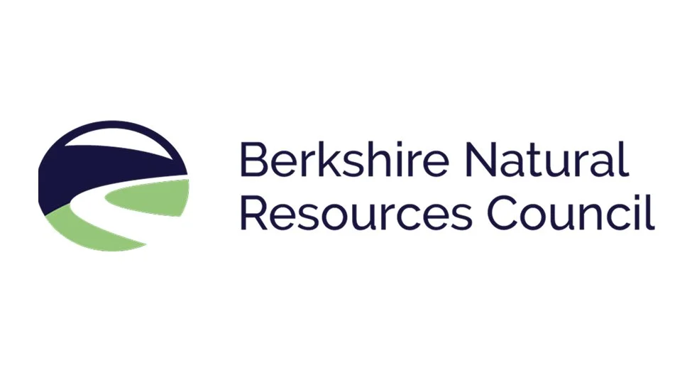 logo 25.jpg