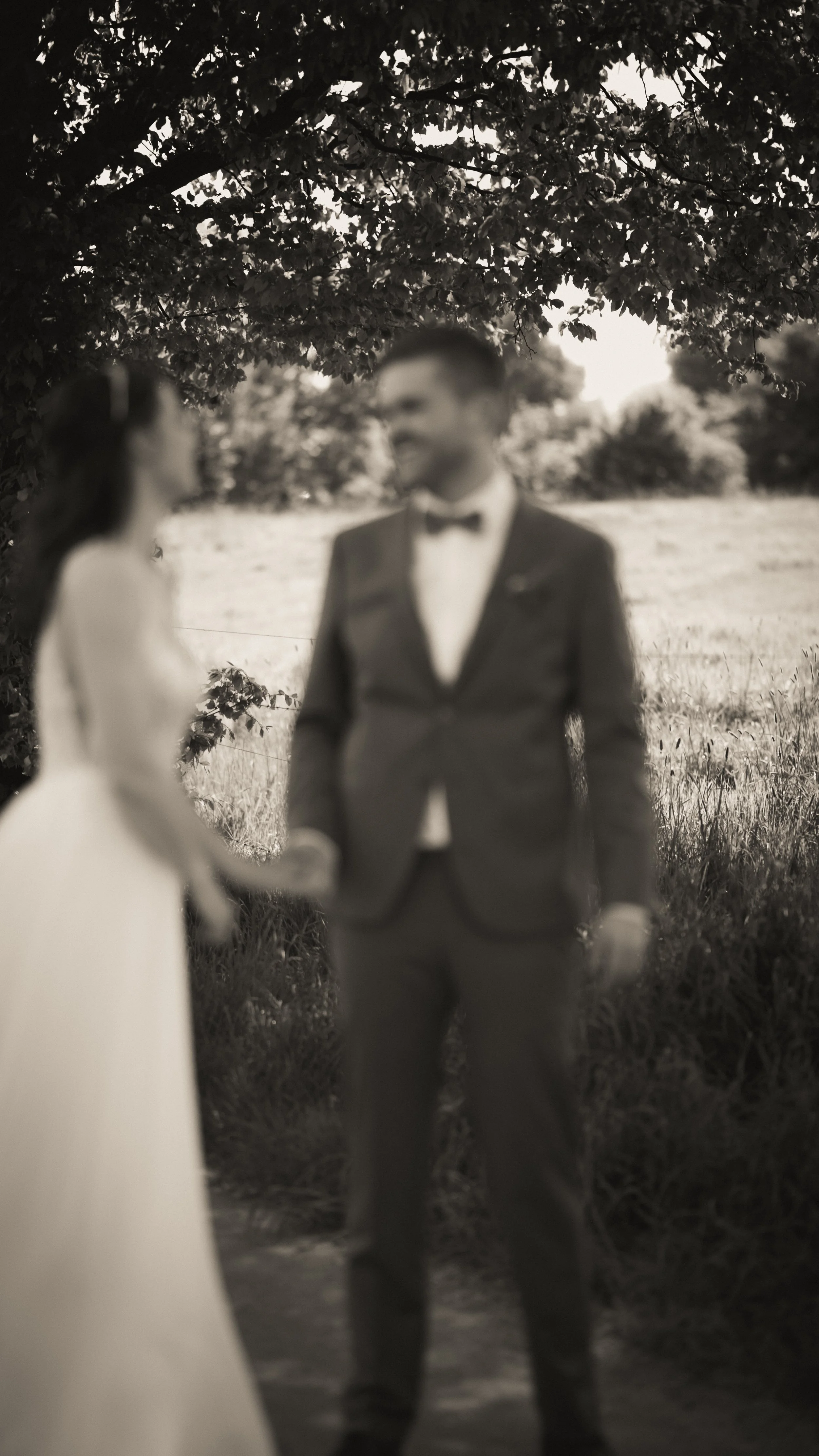 Ein Mann und eine Frau halten sich an den Händen und schauen sich an, vor einem Baum im Freien, im Schwarz-Weiß-Stil.