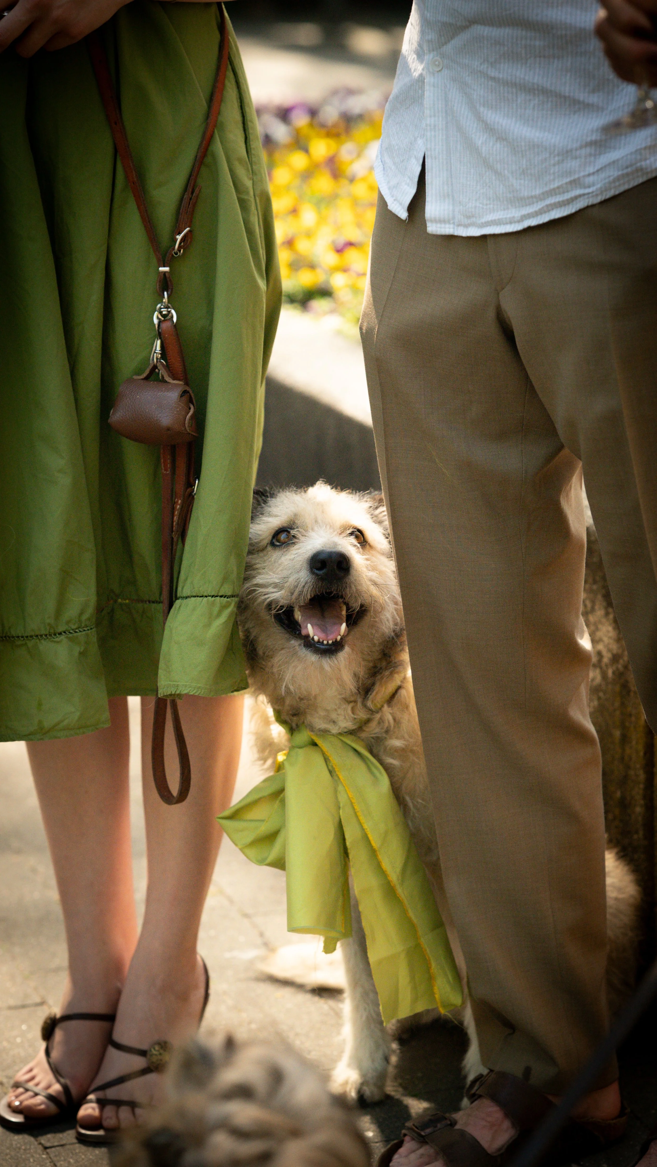 Ein Hund steht zwischen zwei Menschen, die nur ihre Beine sichtbar sind, draußen im Sonnenlicht. Der Hund trägt eine gelbe Schutzjacke und schaut schmunzelnd nach oben.