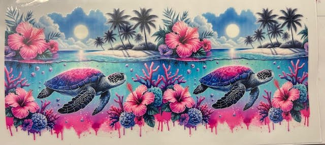 Sea Turtles