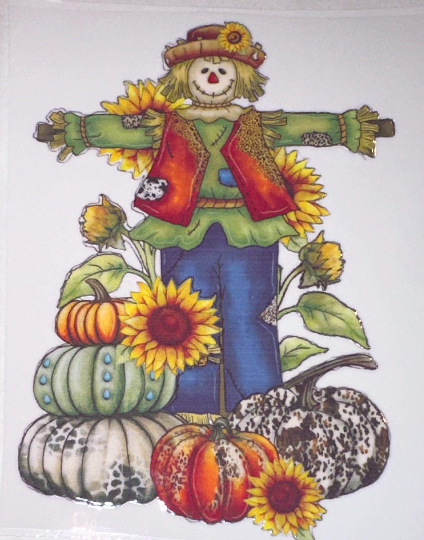 Cheerful Scarecrow