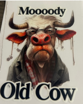 Moody Old Cow
