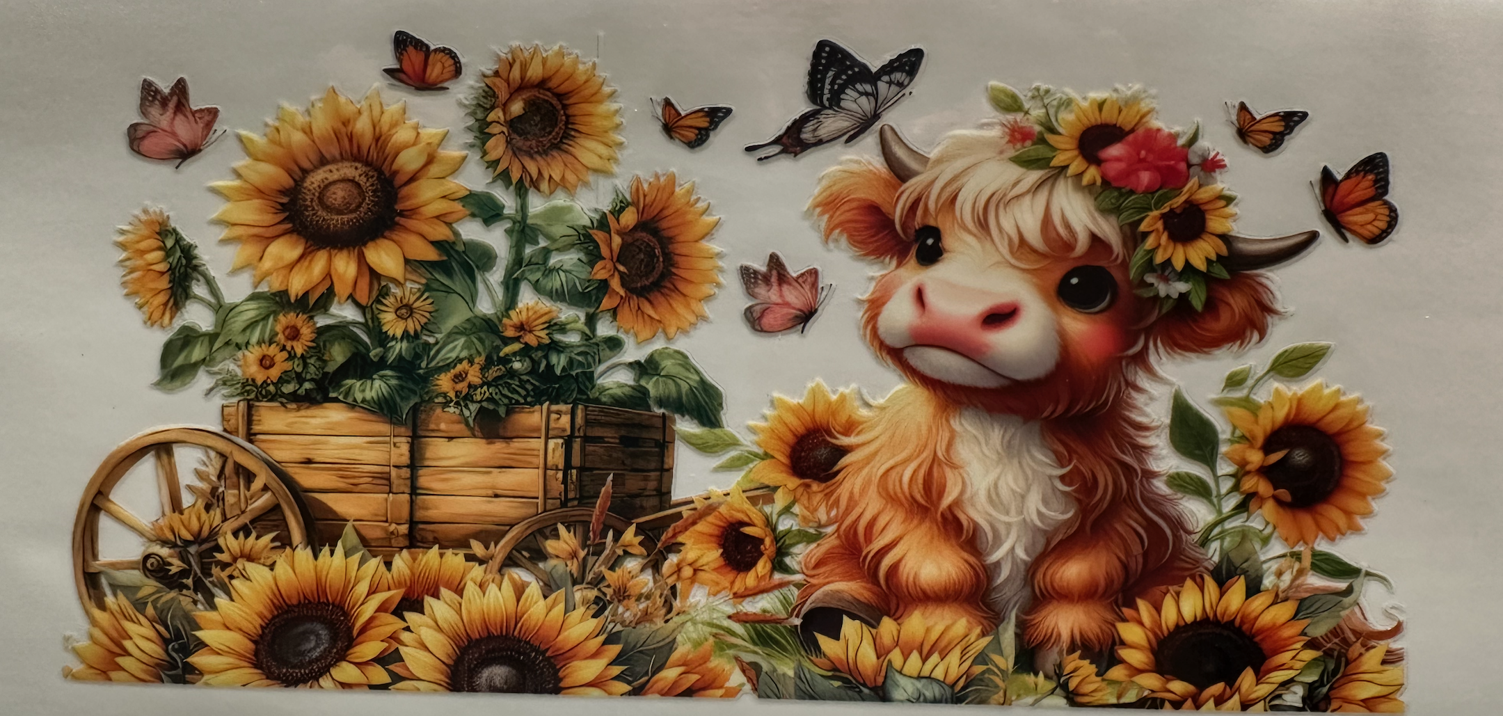 Sunflower & Highland Cow