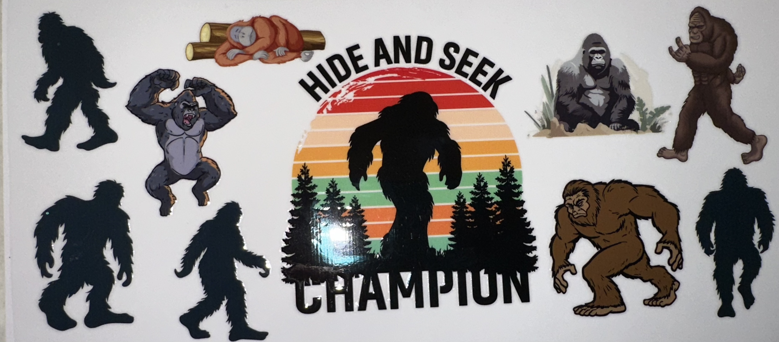 Hide and Seek Champion