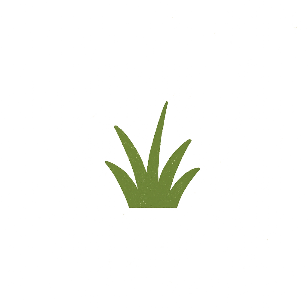A small green plant with long, pointed leaves on a black background speckled with faint yellowish spots.