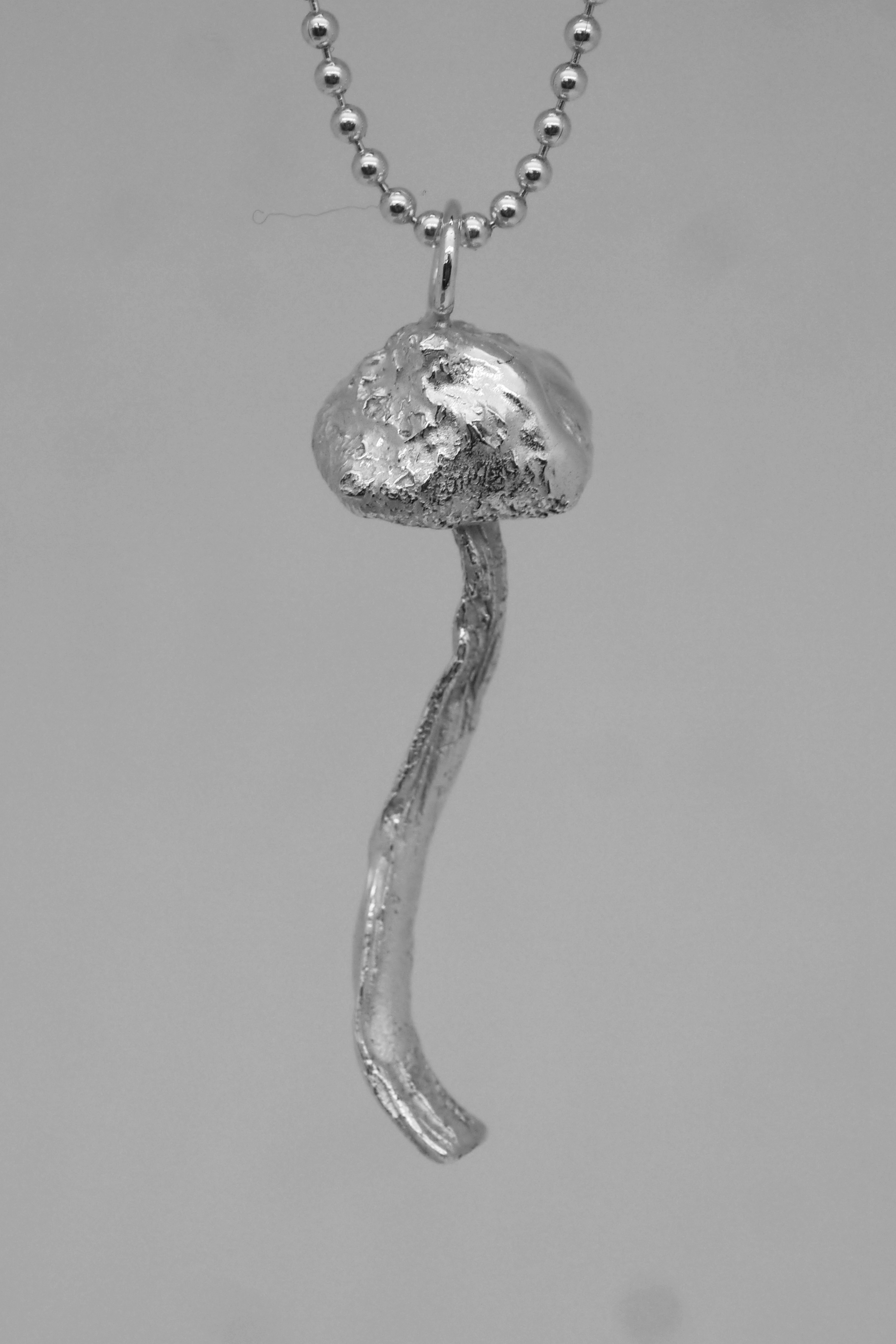 P1350718 - kopie.png